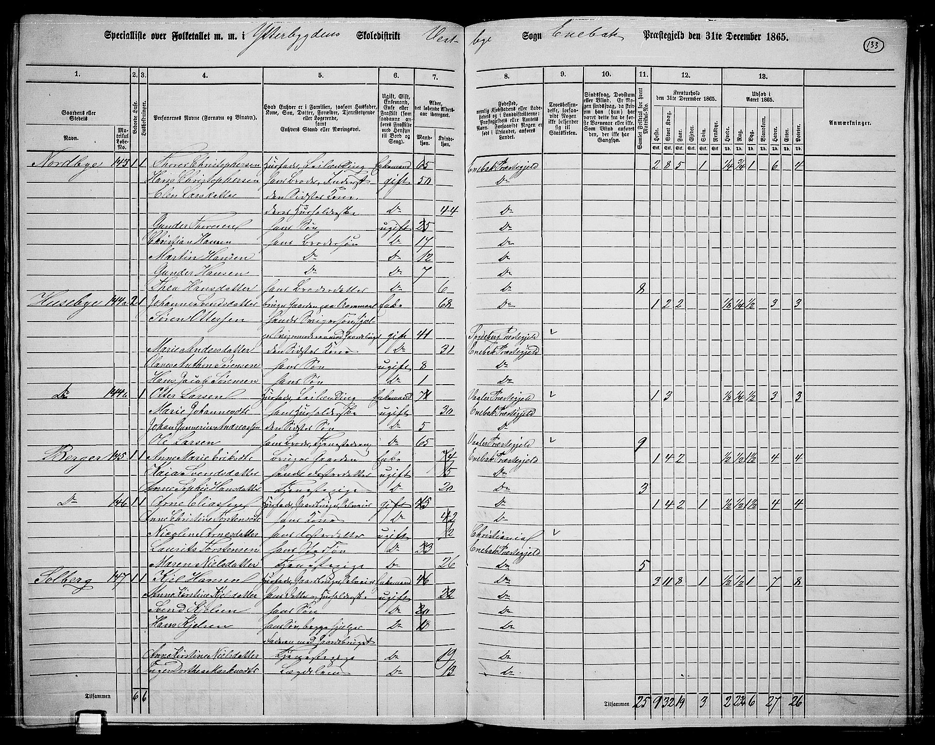 RA, 1865 census for Enebakk, 1865, p. 119