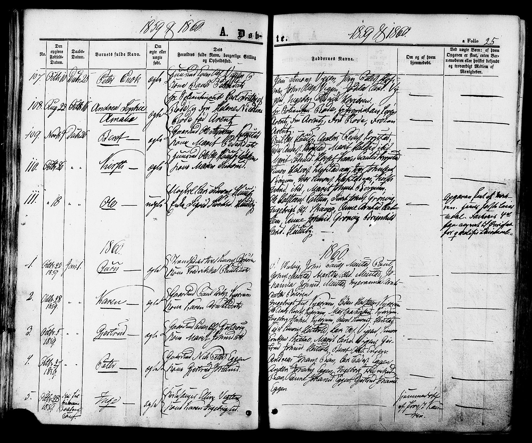 Ministerialprotokoller, klokkerbøker og fødselsregistre - Sør-Trøndelag, SAT/A-1456/665/L0772: Parish register (official) no. 665A07, 1856-1878, p. 25