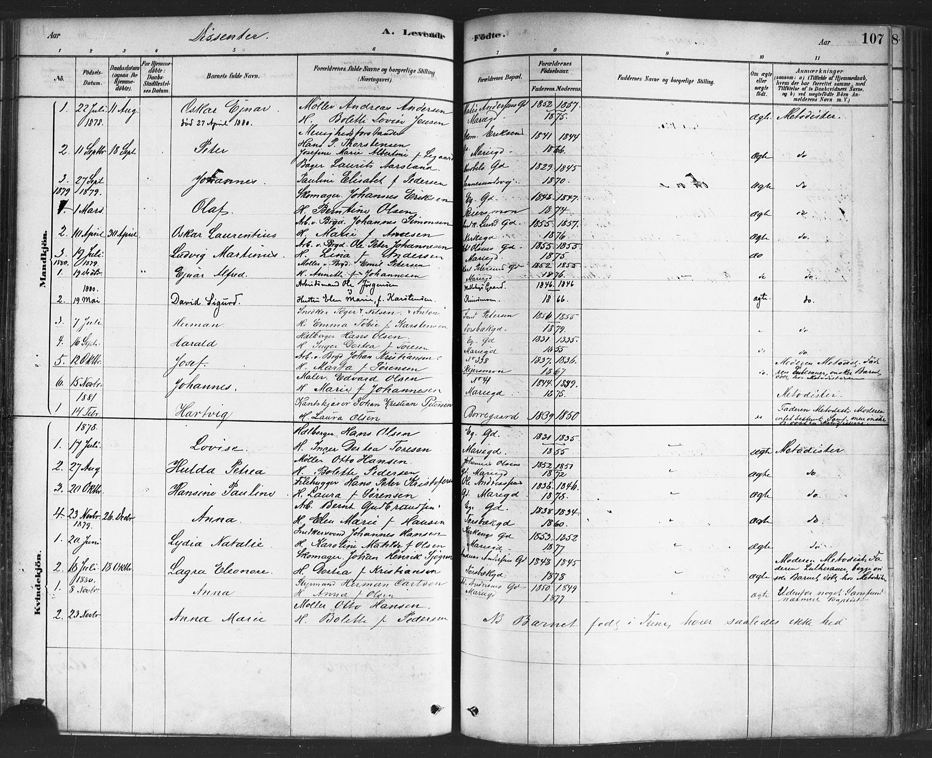 Sarpsborg prestekontor Kirkebøker, SAO/A-2006/F/Fa/L0003: Parish register (official) no. 3, 1878-1891, p. 107