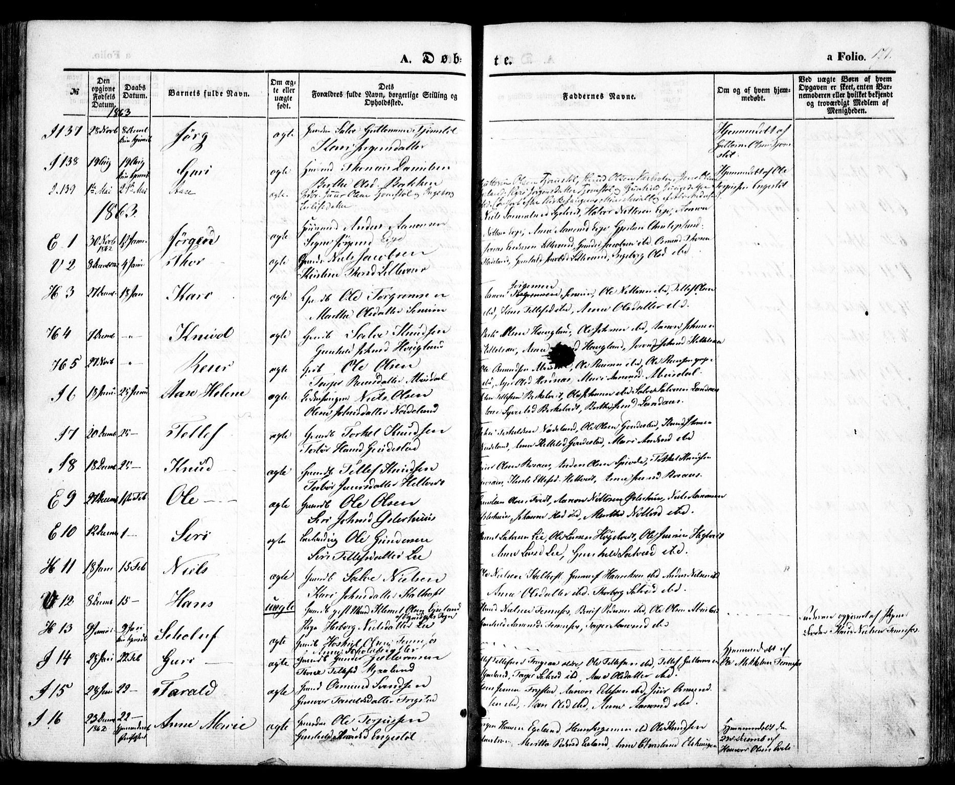 Evje sokneprestkontor, SAK/1111-0008/F/Fa/Faa/L0005: Parish register (official) no. A 5, 1843-1865, p. 171