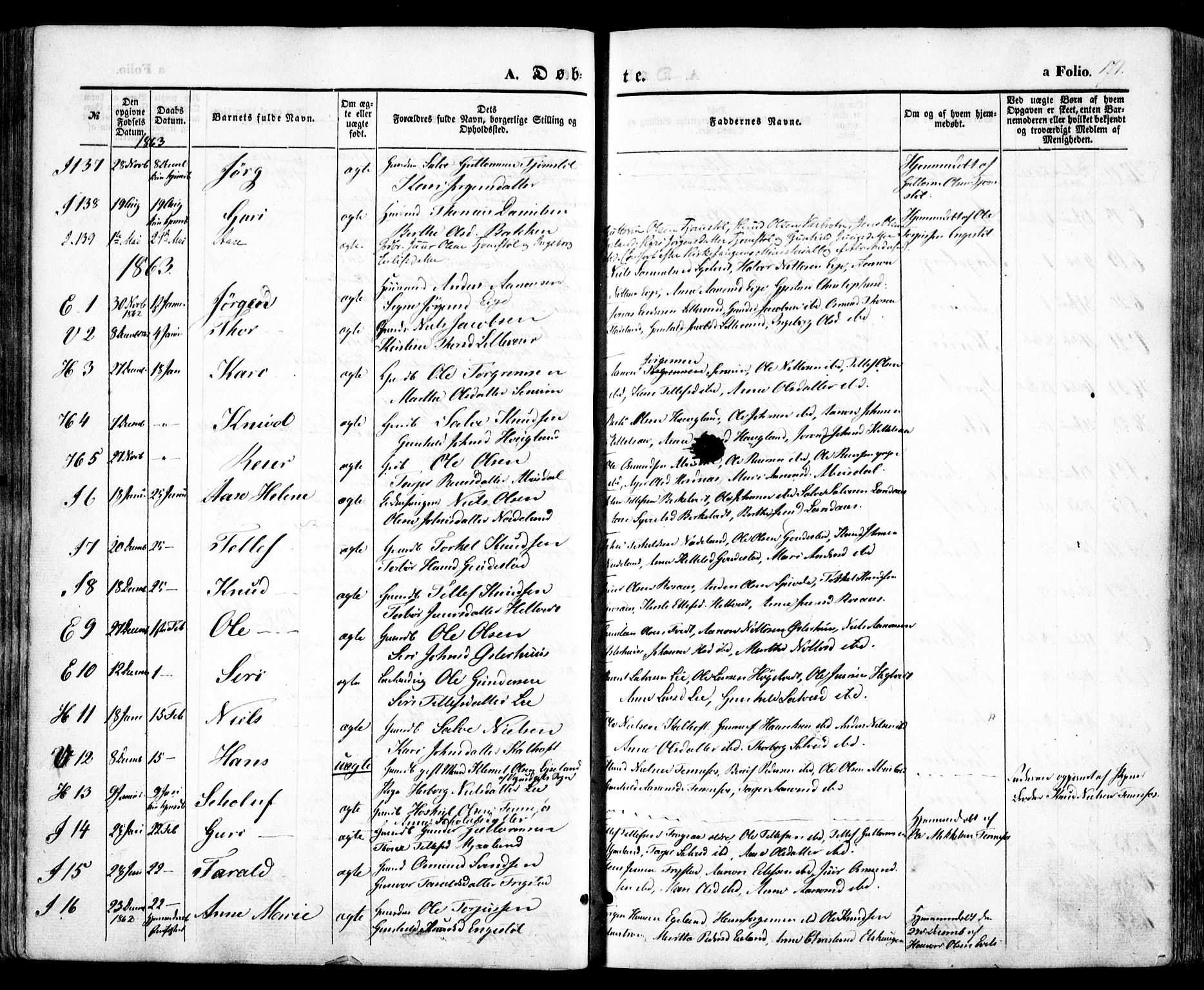 Evje sokneprestkontor, AV/SAK-1111-0008/F/Fa/Faa/L0005: Parish register (official) no. A 5, 1843-1865, p. 171