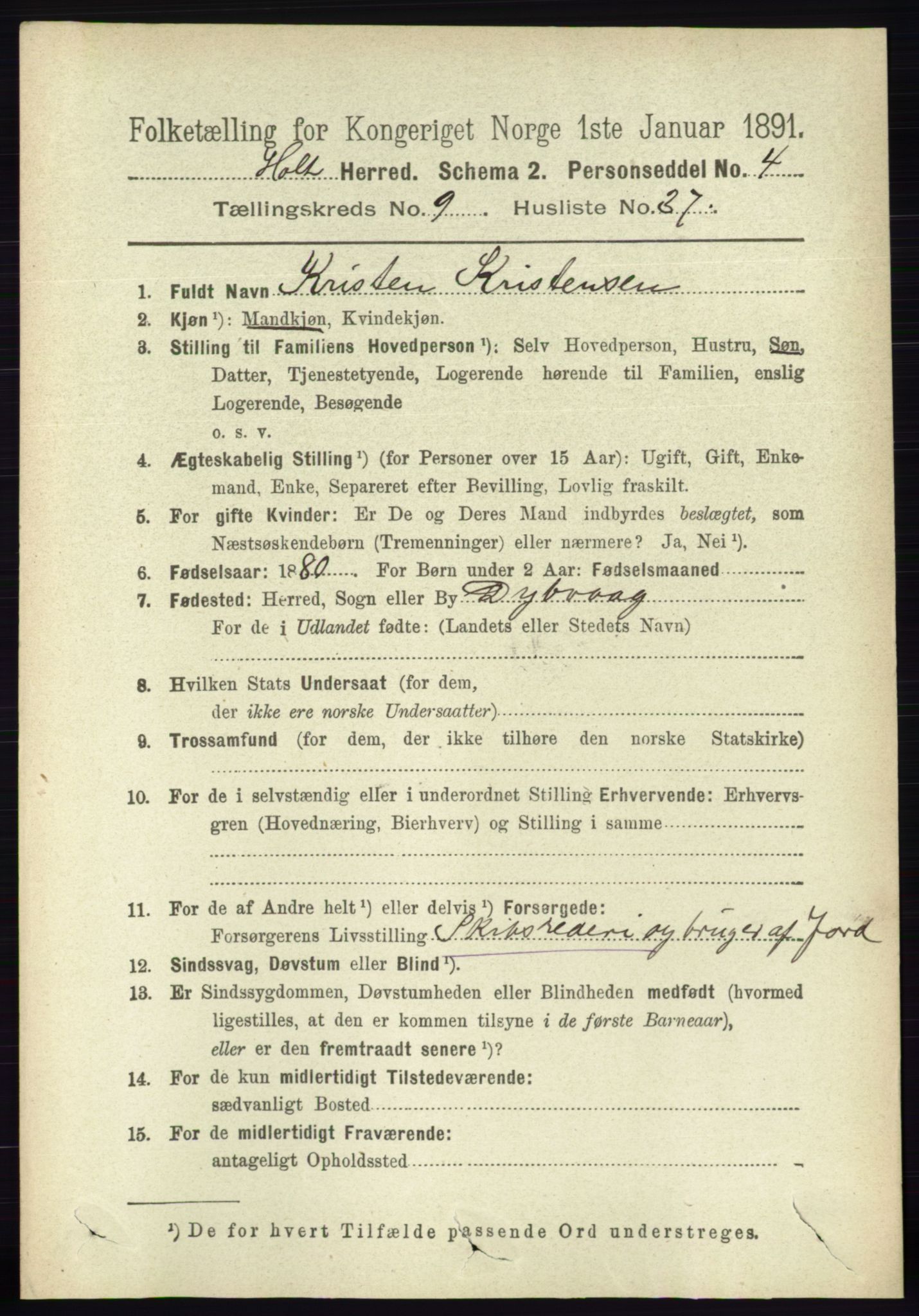 RA, 1891 census for 0914 Holt, 1891, p. 4137