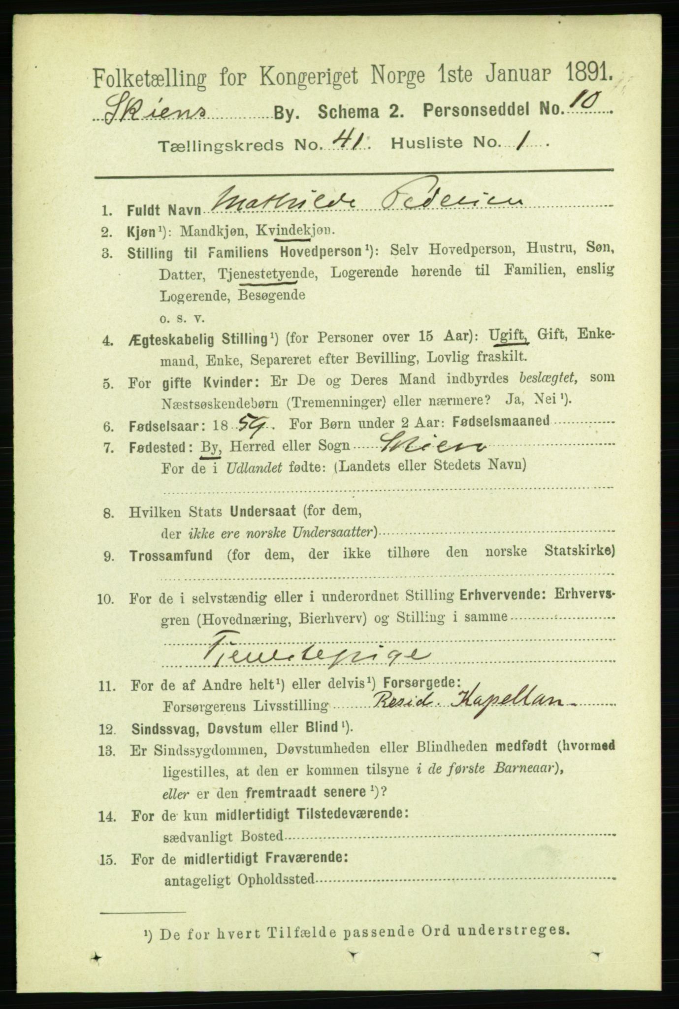 RA, 1891 census for 0806 Skien, 1891, p. 8450