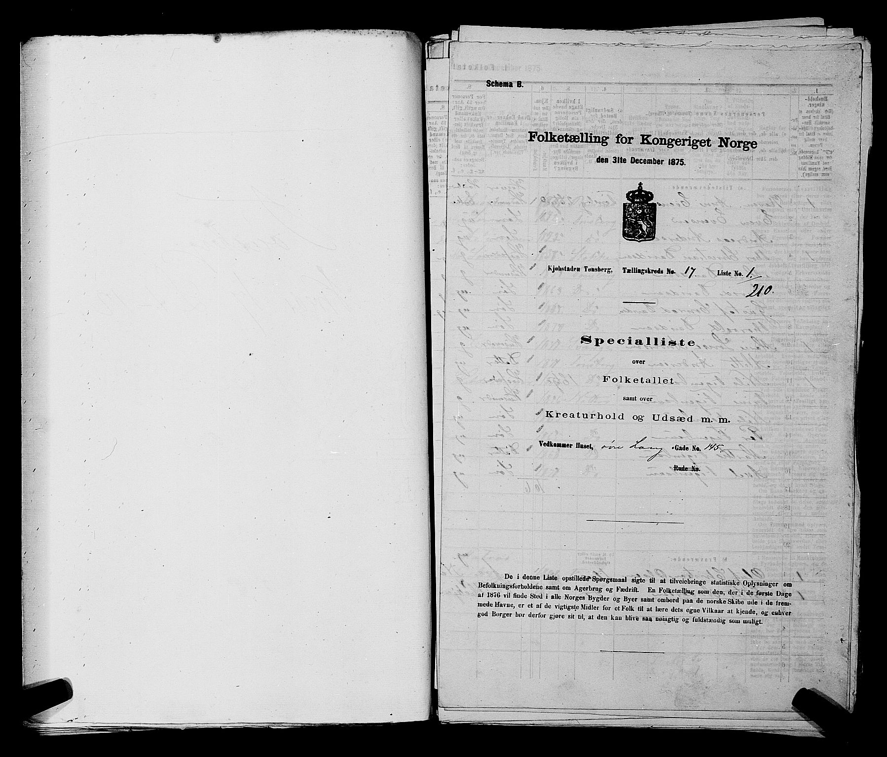 SAKO, 1875 census for 0705P Tønsberg, 1875, p. 517