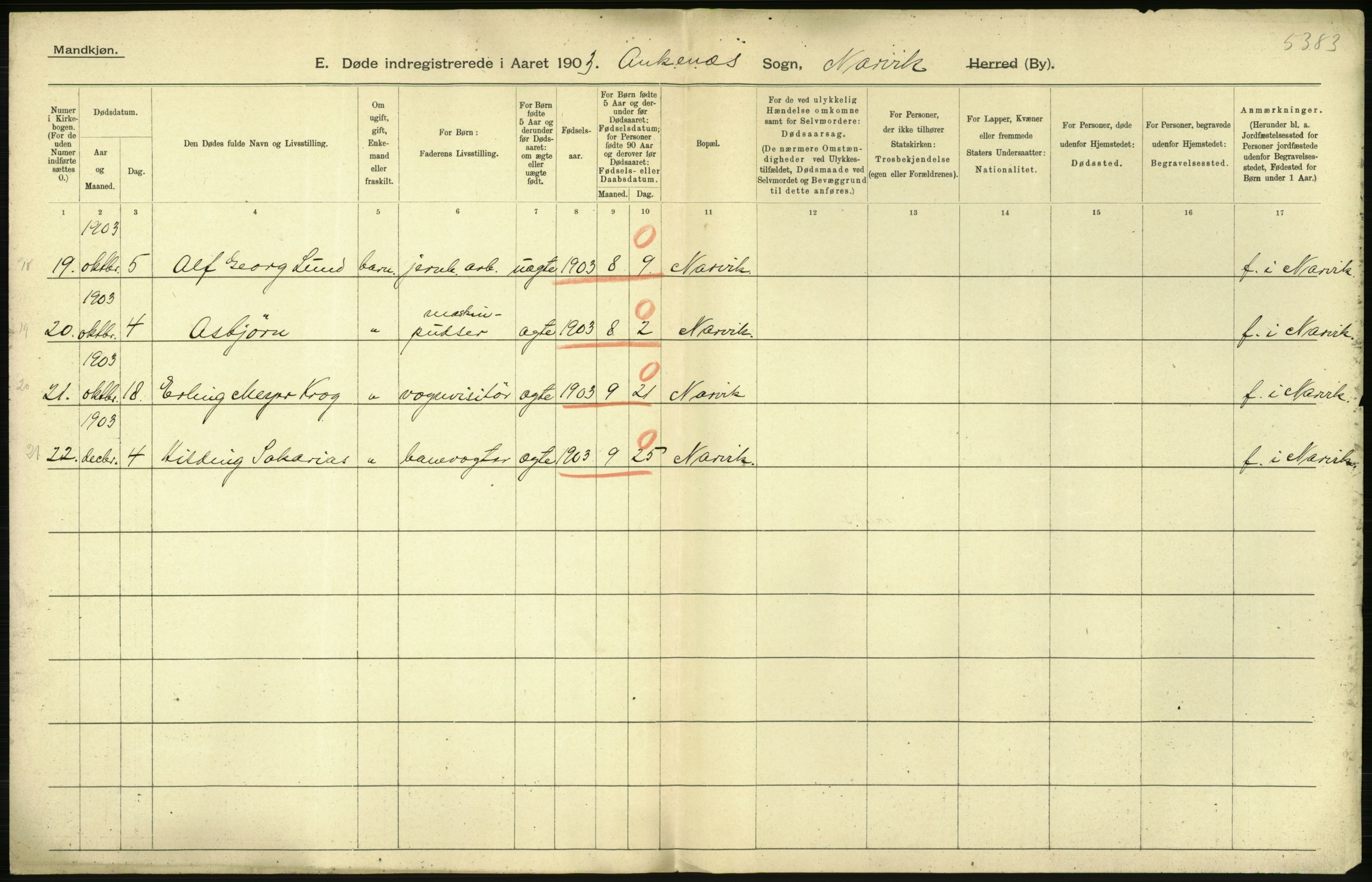 Statistisk sentralbyrå, Sosiodemografiske emner, Befolkning, AV/RA-S-2228/D/Df/Dfa/Dfaa/L0019: Nordlands amt: Fødte, gifte, døde., 1903, p. 534