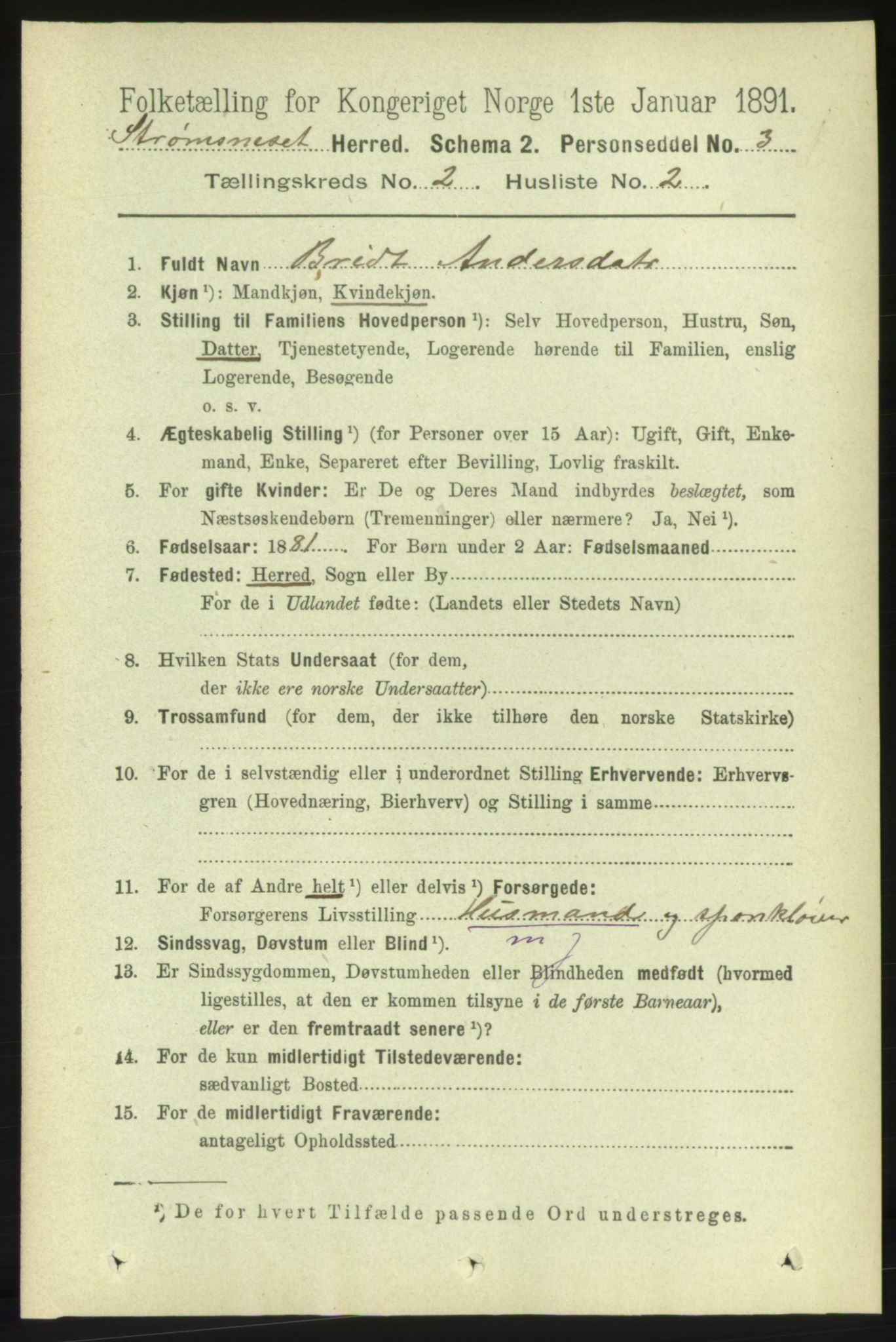 RA, 1891 census for 1559 Straumsnes, 1891, p. 221