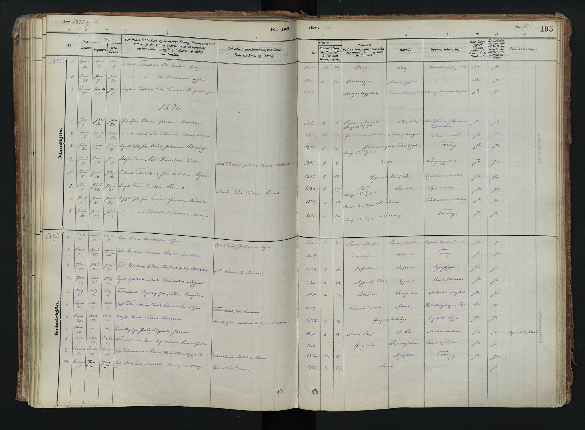 Tolga prestekontor, AV/SAH-PREST-062/K/L0008: Parish register (official) no. 8, 1877-1910, p. 195