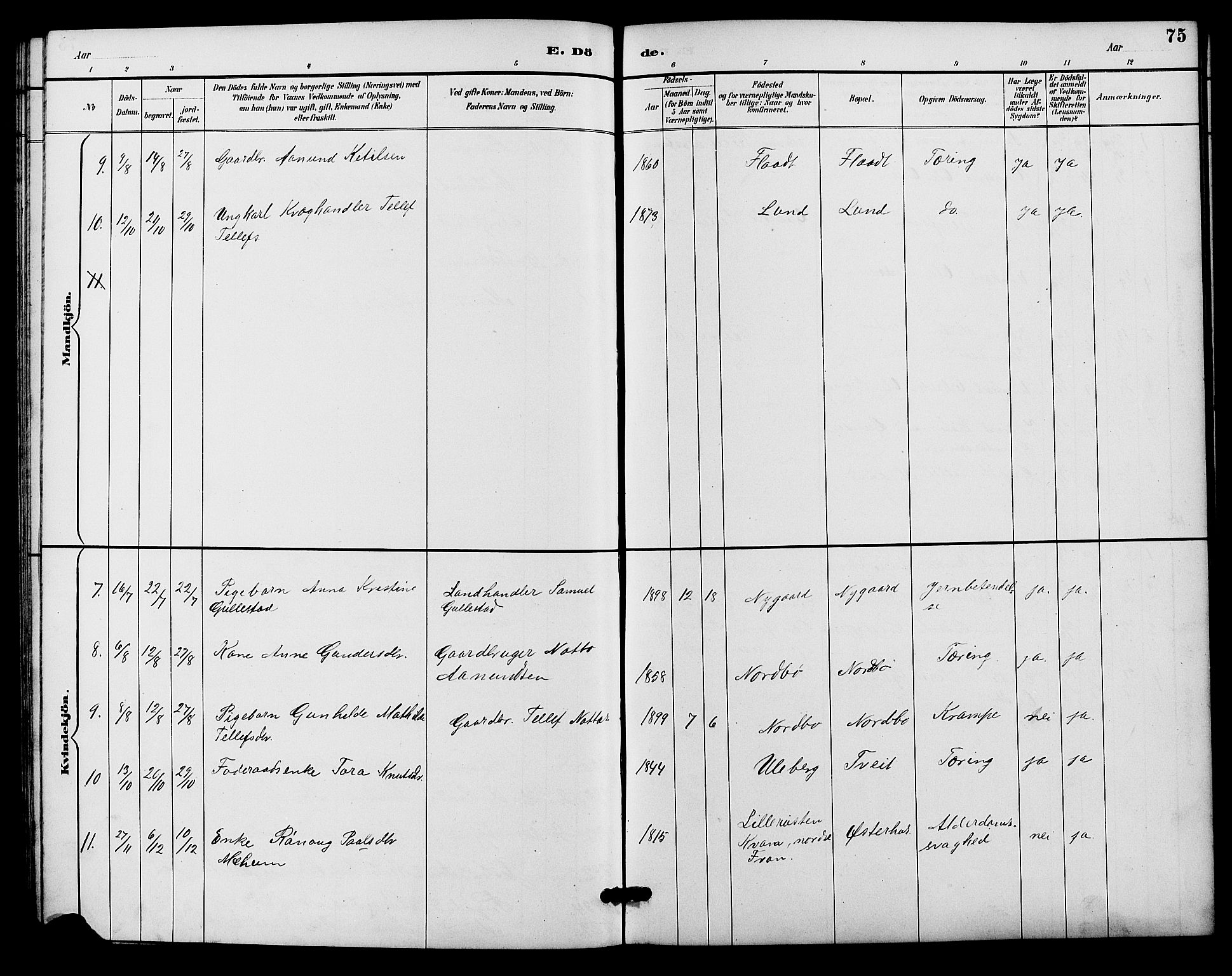 Evje sokneprestkontor, SAK/1111-0008/F/Fb/Fba/L0003: Parish register (copy) no. B 3, 1888-1903, p. 75
