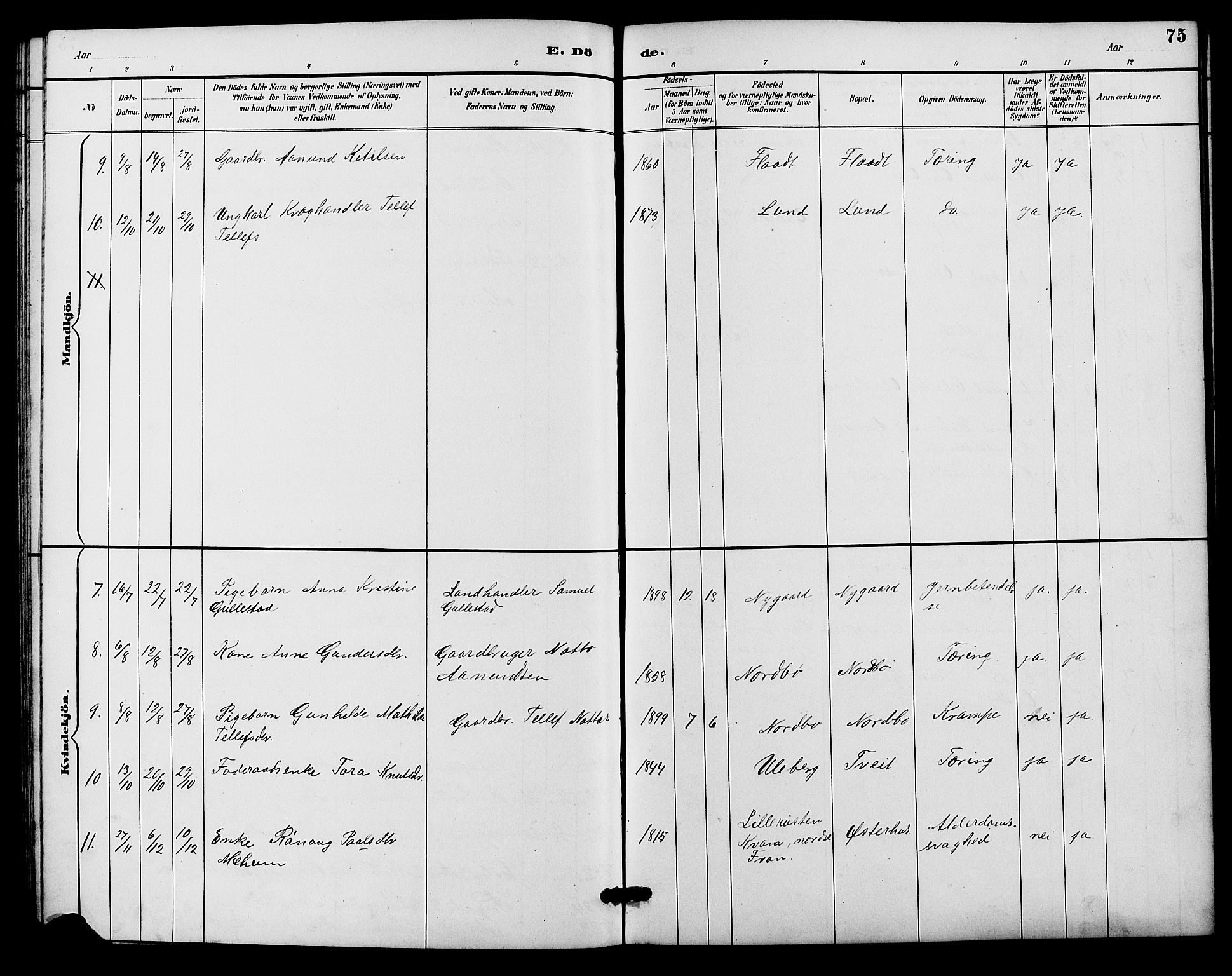 Evje sokneprestkontor, AV/SAK-1111-0008/F/Fb/Fba/L0003: Parish register (copy) no. B 3, 1888-1903, p. 75