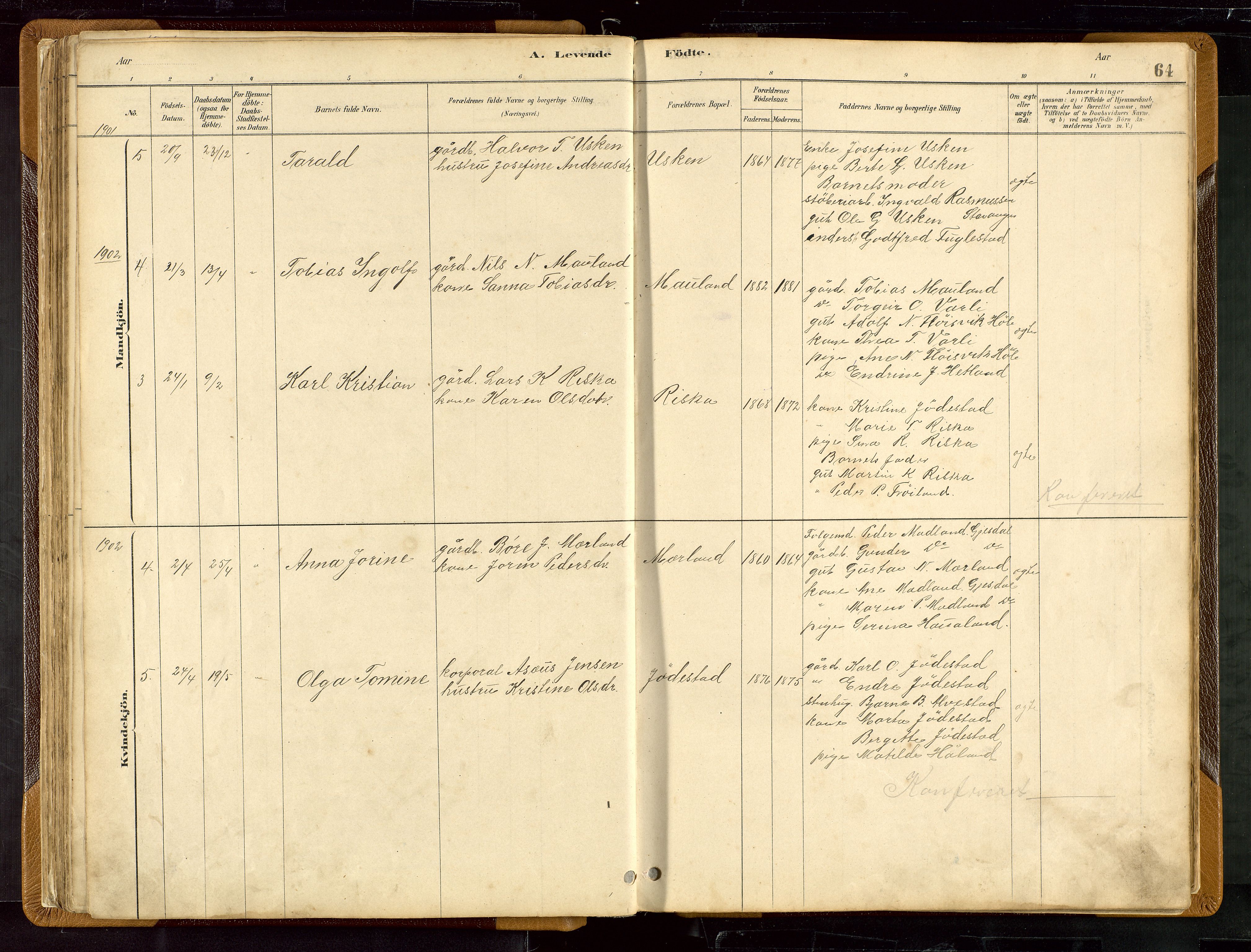 Hetland sokneprestkontor, SAST/A-101826/30/30BB/L0007: Parish register (copy) no. B 7, 1878-1910, p. 64