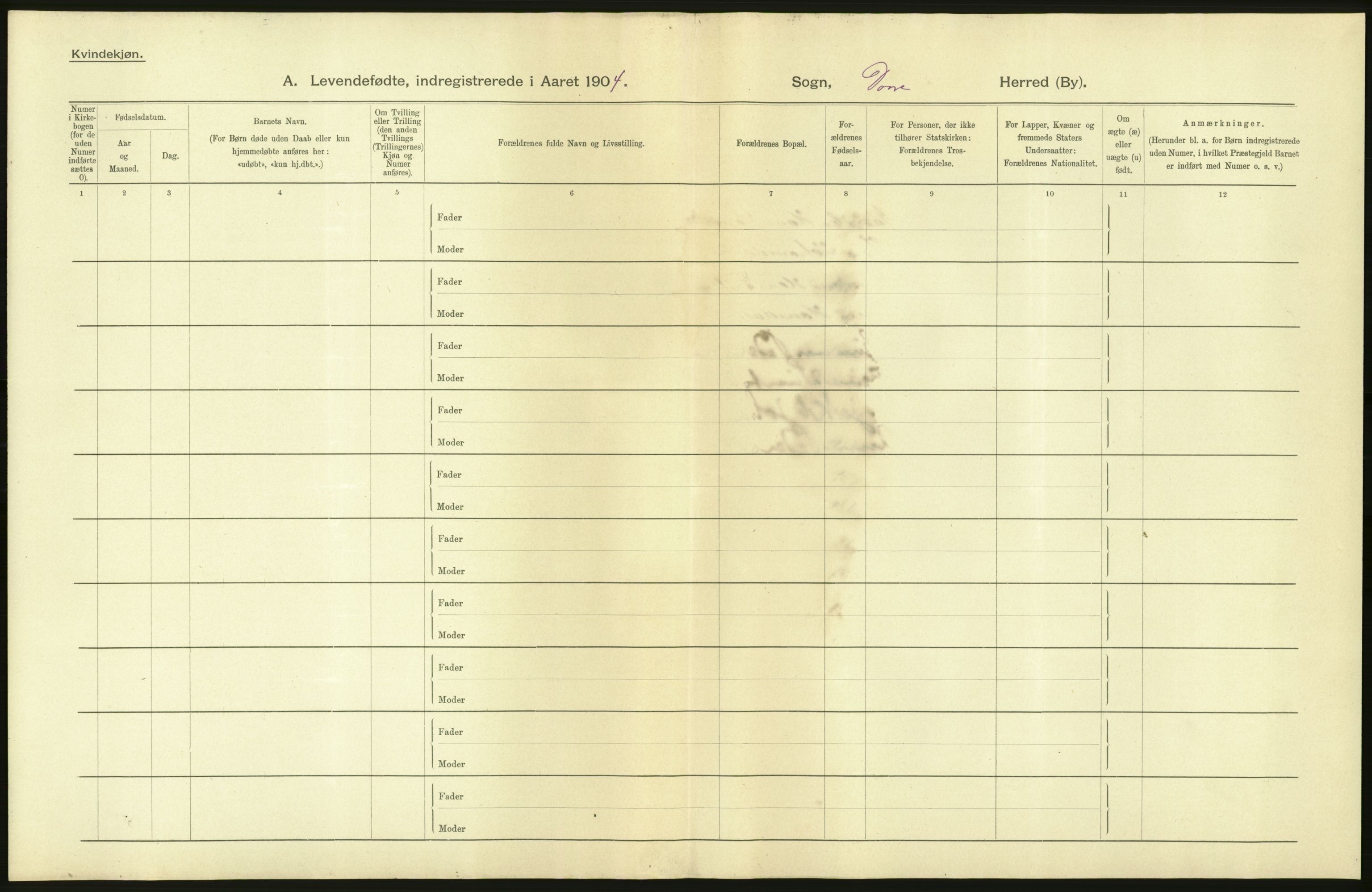 Statistisk sentralbyrå, Sosiodemografiske emner, Befolkning, AV/RA-S-2228/D/Df/Dfa/Dfab/L0006: Kristians amt: Fødte, gifte, døde, 1904, p. 8