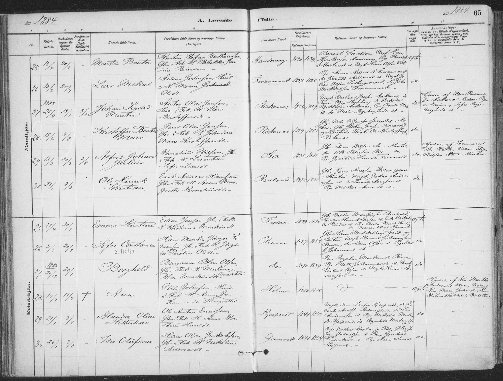 Ibestad sokneprestembete, AV/SATØ-S-0077/H/Ha/Haa/L0011kirke: Parish register (official) no. 11, 1880-1889, p. 65