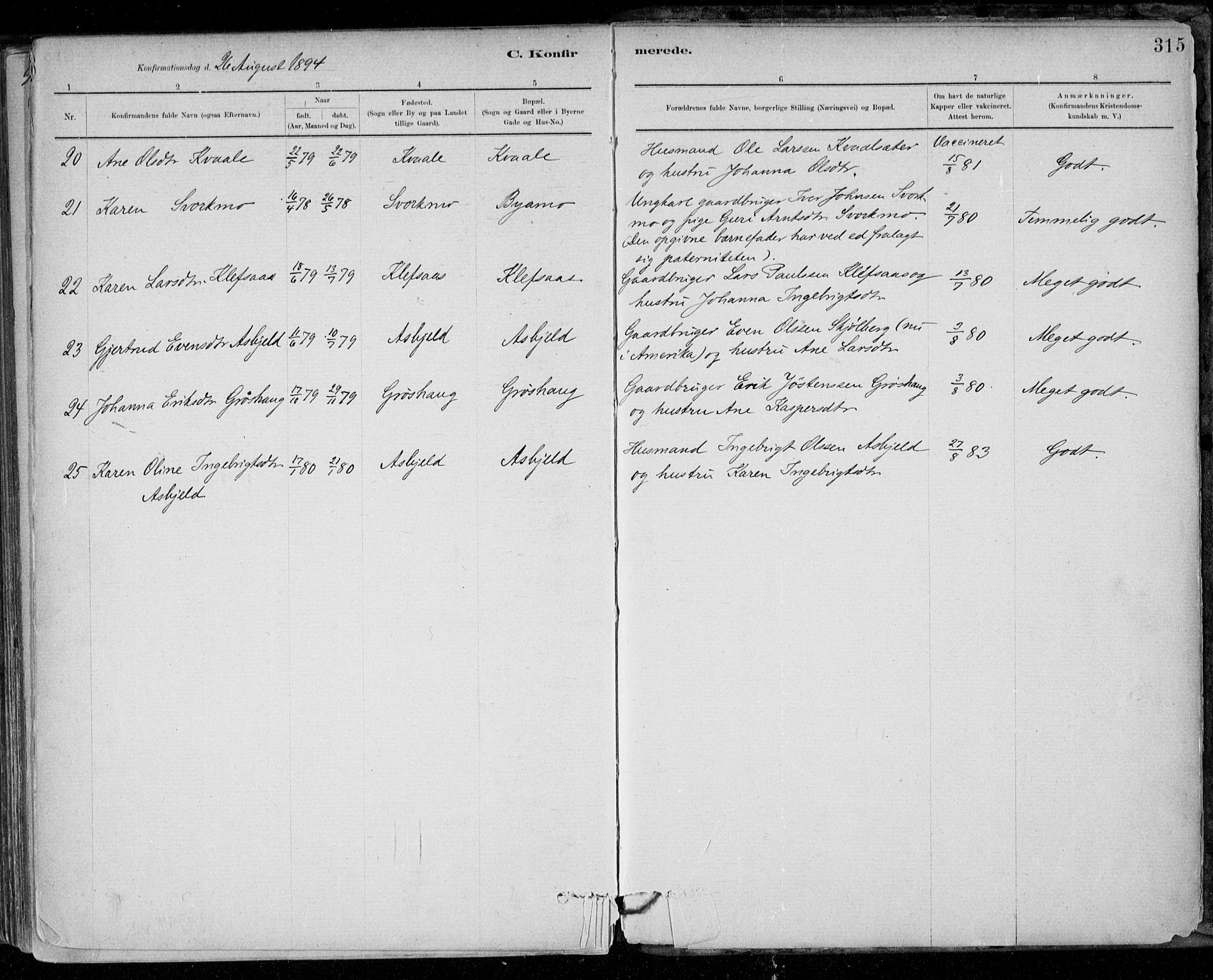Ministerialprotokoller, klokkerbøker og fødselsregistre - Sør-Trøndelag, SAT/A-1456/668/L0809: Parish register (official) no. 668A09, 1881-1895, p. 315
