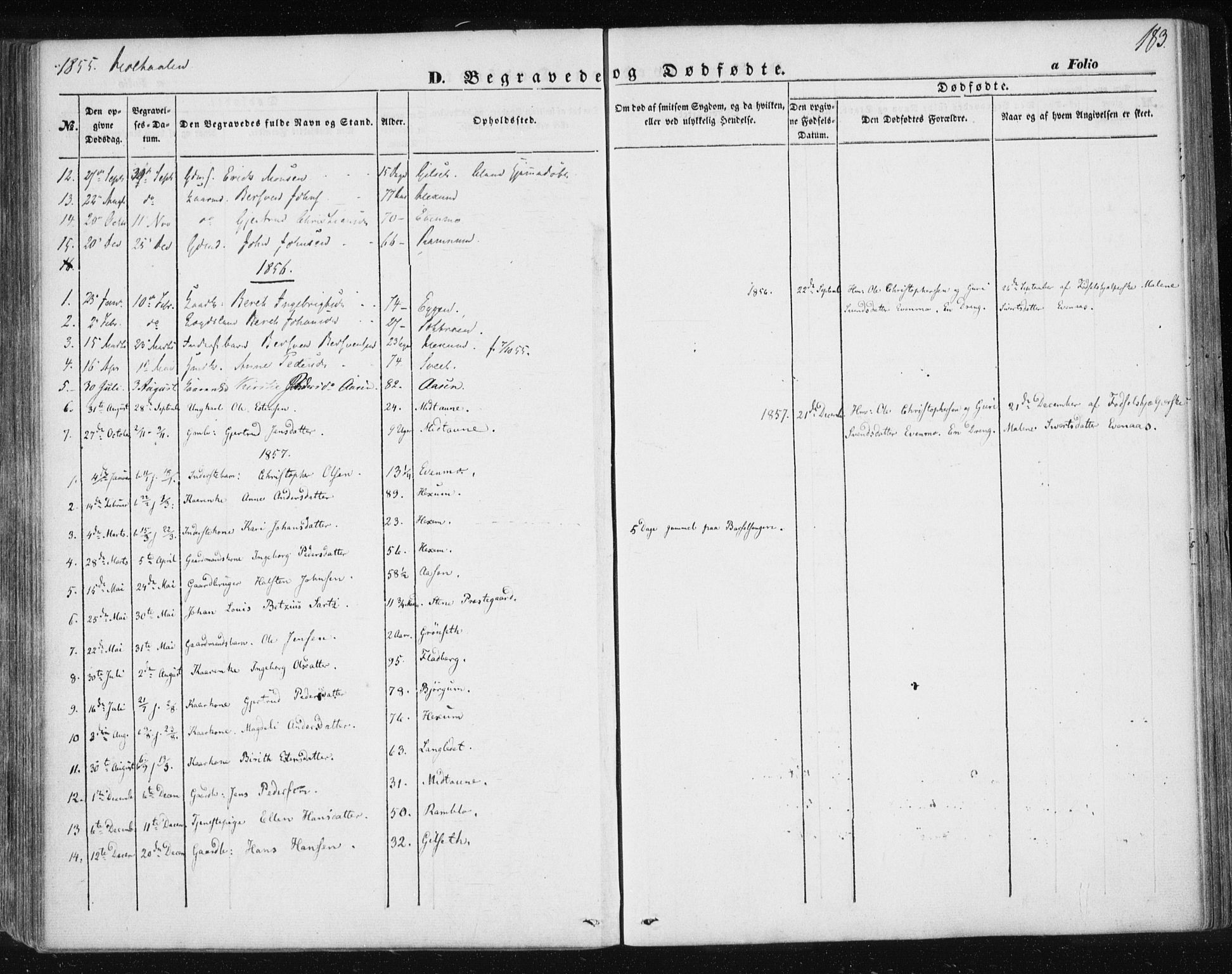 Ministerialprotokoller, klokkerbøker og fødselsregistre - Sør-Trøndelag, SAT/A-1456/685/L0963: Parish register (official) no. 685A06 /1, 1846-1859, p. 183
