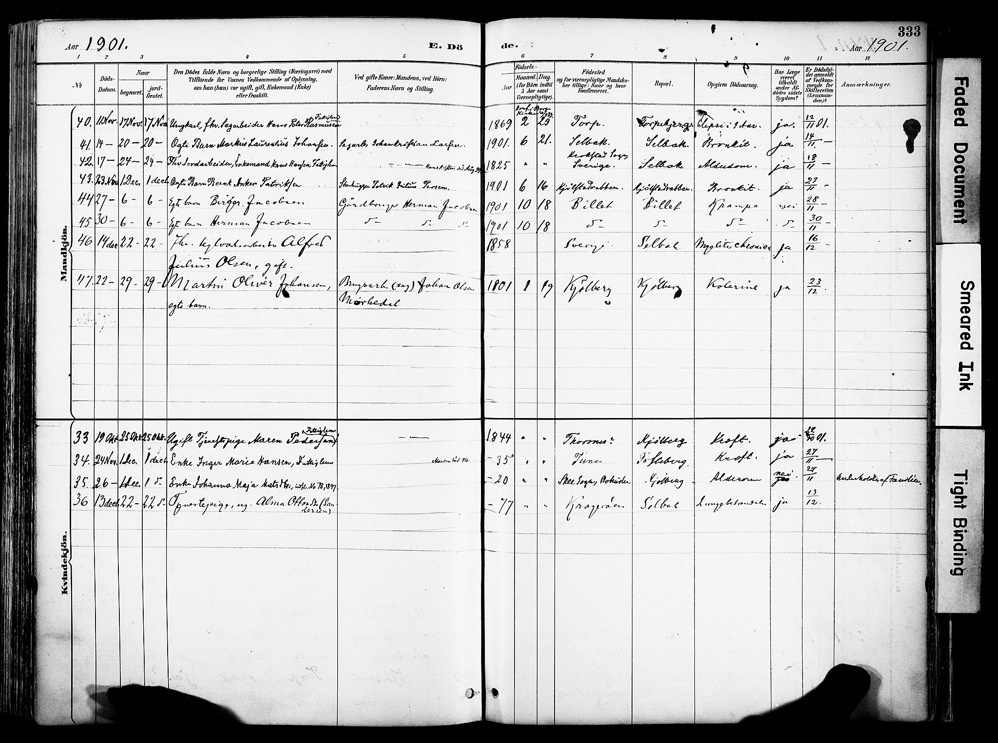 Borge prestekontor Kirkebøker, AV/SAO-A-10903/F/Fa/L0008: Parish register (official) no. I 8B, 1887-1902, p. 333