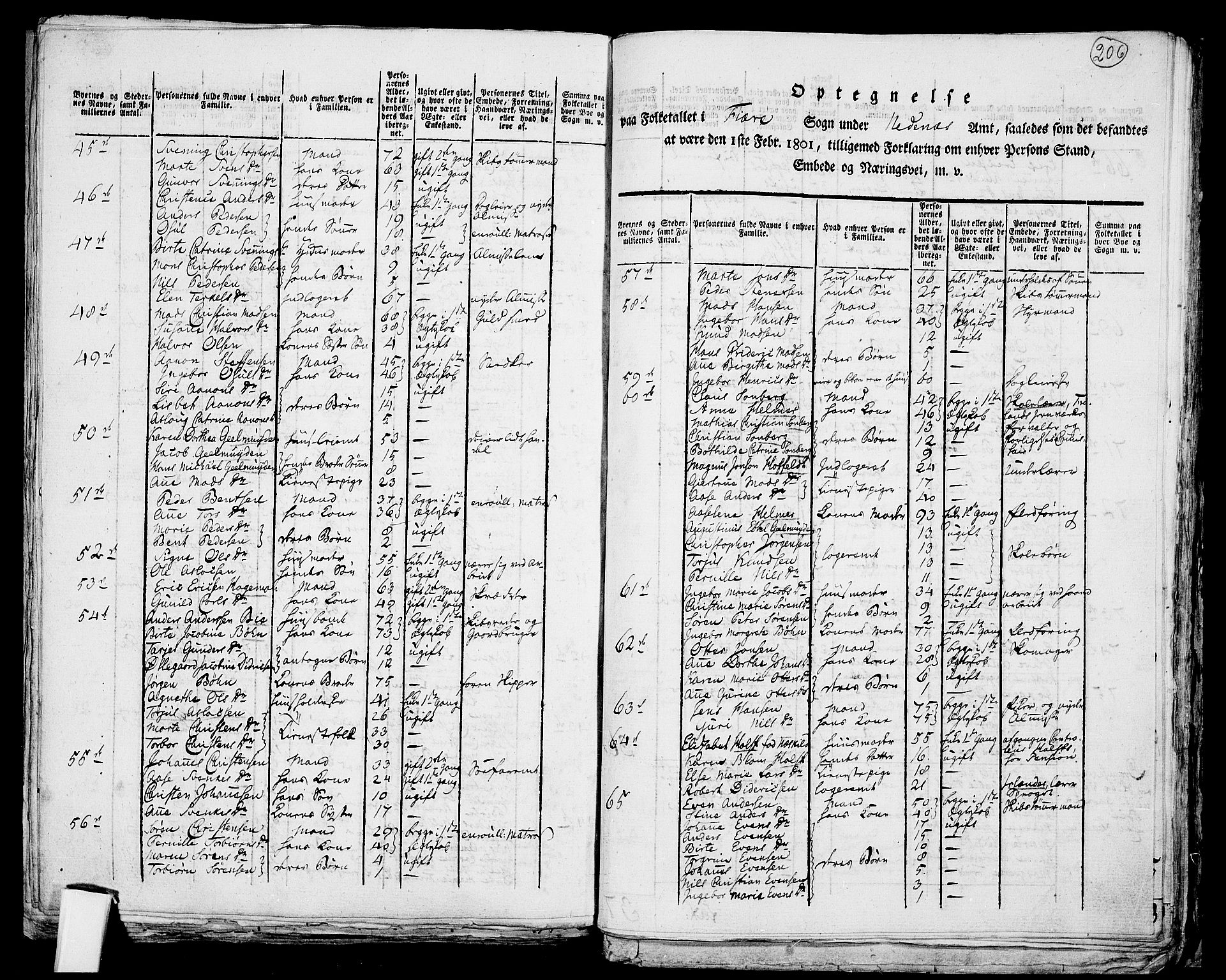 RA, 1801 census for 0920P Øyestad, 1801, p. 205b-206a