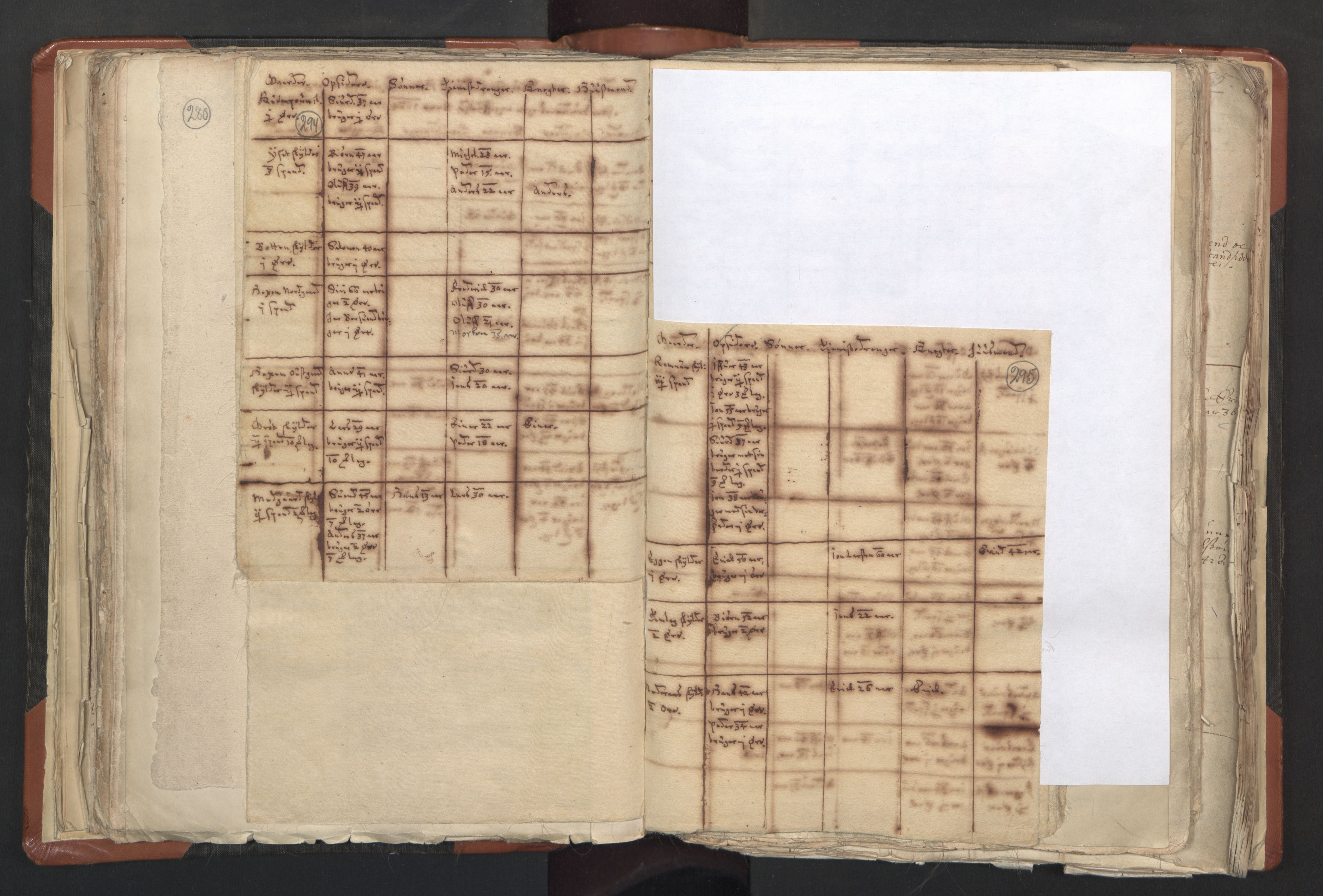 RA, Vicar's Census 1664-1666, no. 31: Dalane deanery, 1664-1666, p. 294-295