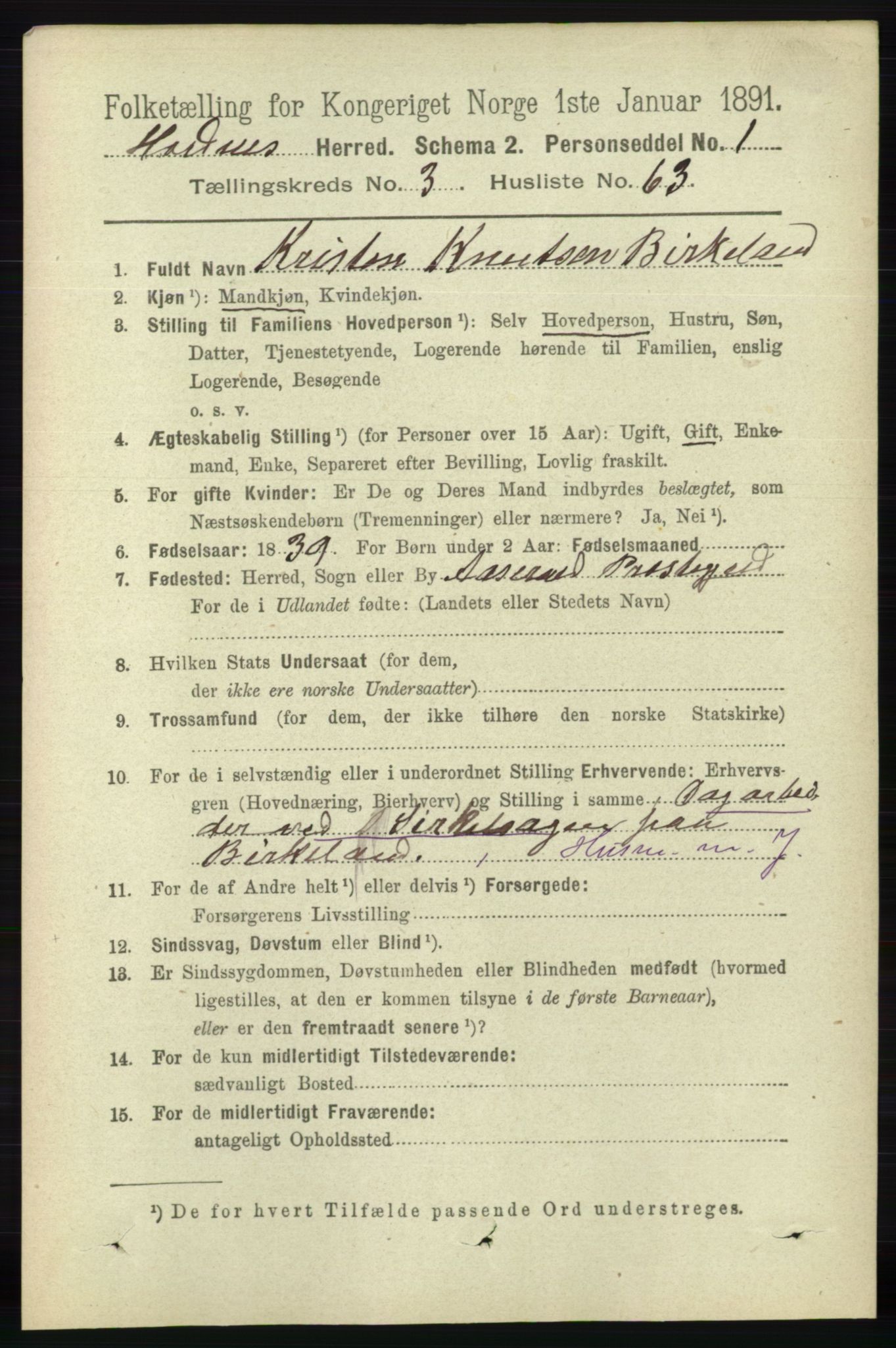 RA, 1891 census for 0936 Hornnes, 1891, p. 1002