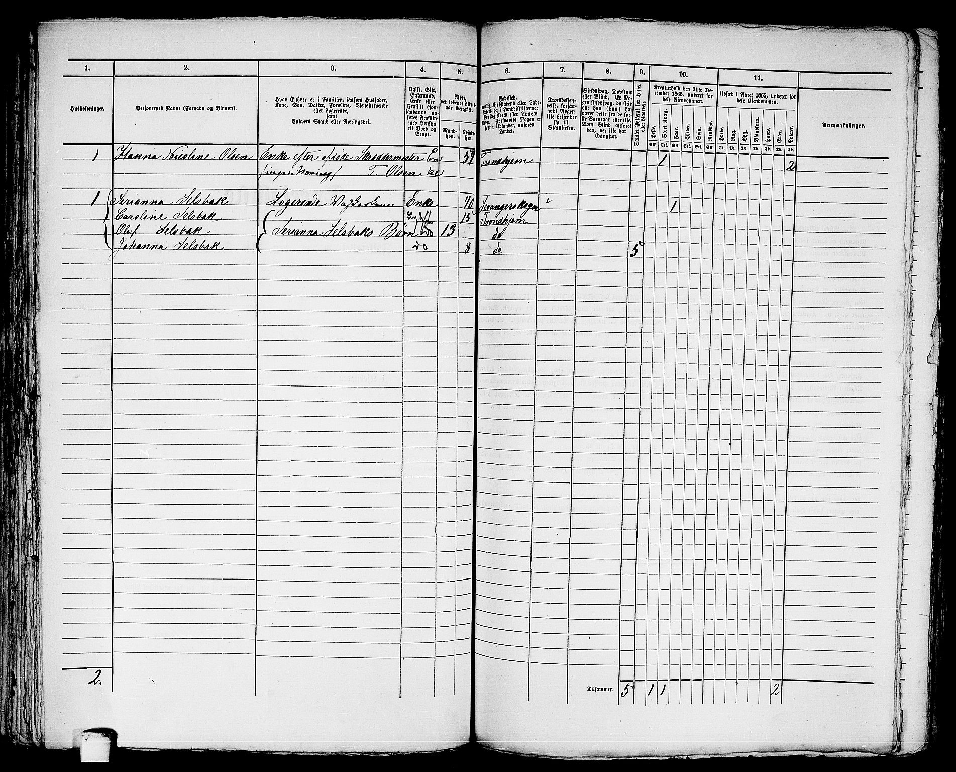 RA, 1865 census for Trondheim, 1865, p. 2802