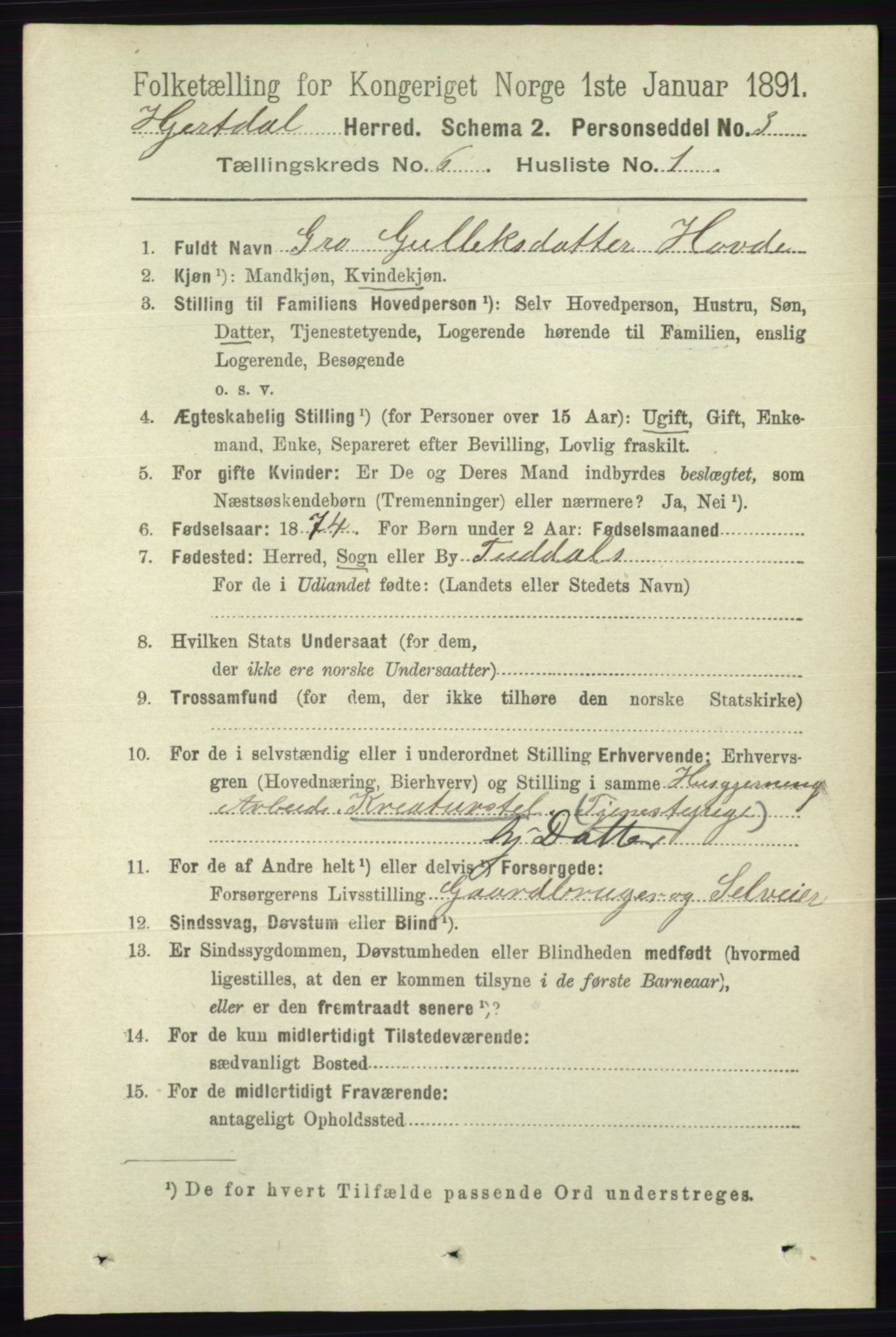 RA, 1891 census for 0827 Hjartdal, 1891, p. 2195