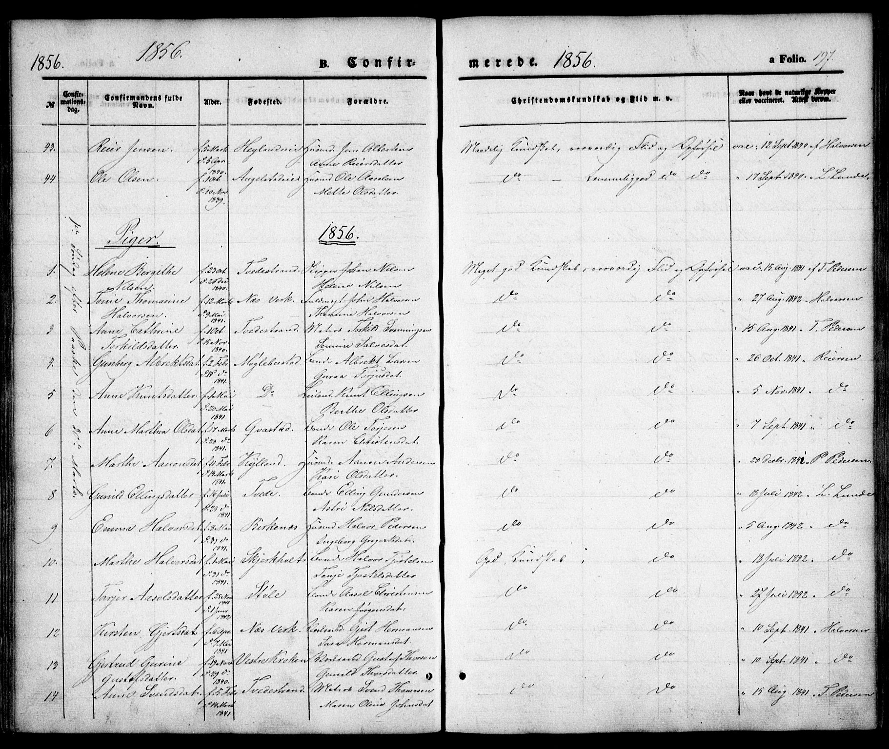 Holt sokneprestkontor, AV/SAK-1111-0021/F/Fa/L0008: Parish register (official) no. A 8, 1849-1860, p. 197