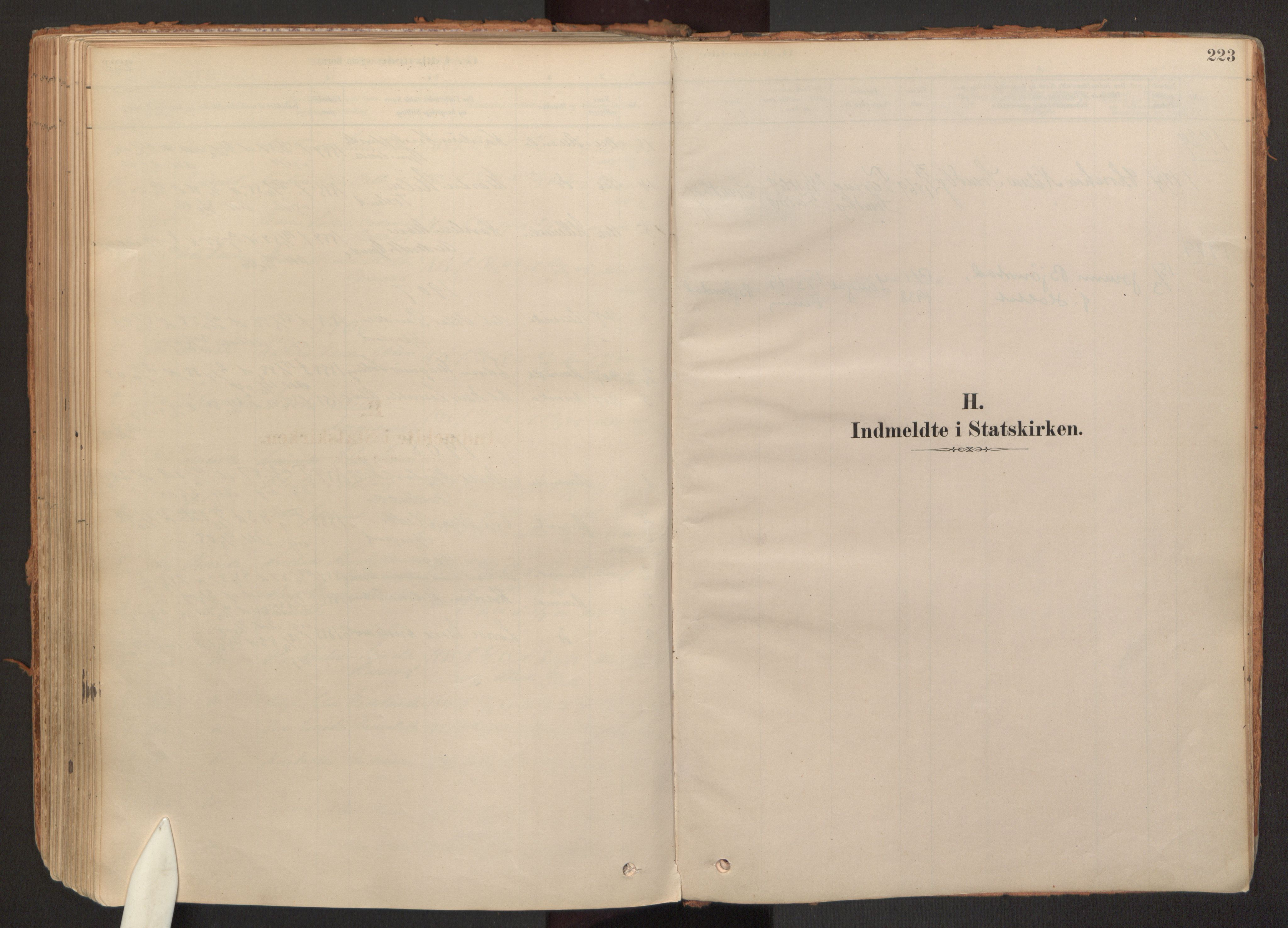 Hurdal prestekontor Kirkebøker, SAO/A-10889/F/Fb/L0003: Parish register (official) no. II 3, 1878-1920, p. 223