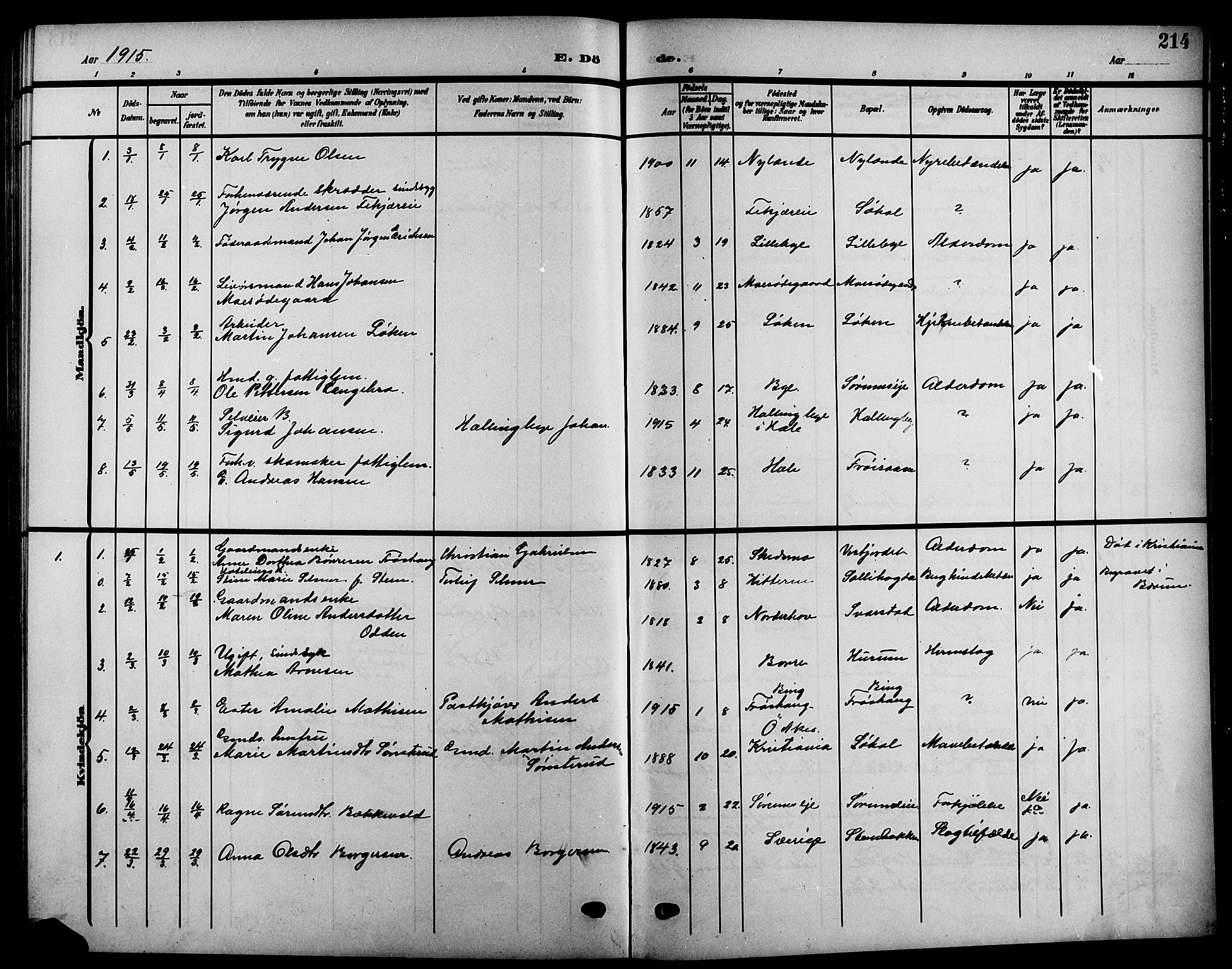 Hole kirkebøker, SAKO/A-228/G/Ga/L0004: Parish register (copy) no. I 4, 1905-1924, p. 214