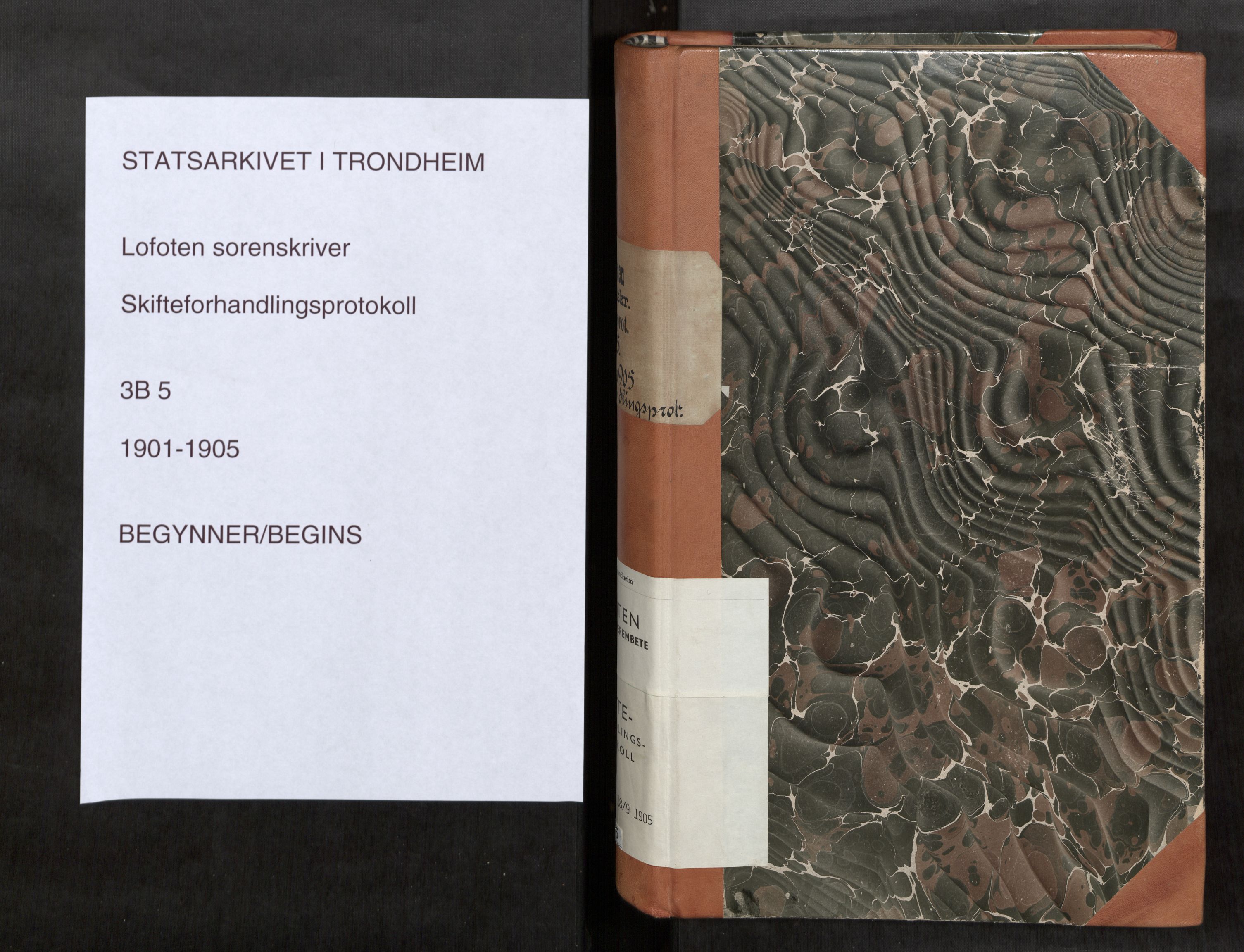 Lofoten sorenskriveri, SAT/A-0017/1/3/3B/L0005: Skifteforhandlings-protokoll, 1901-1905