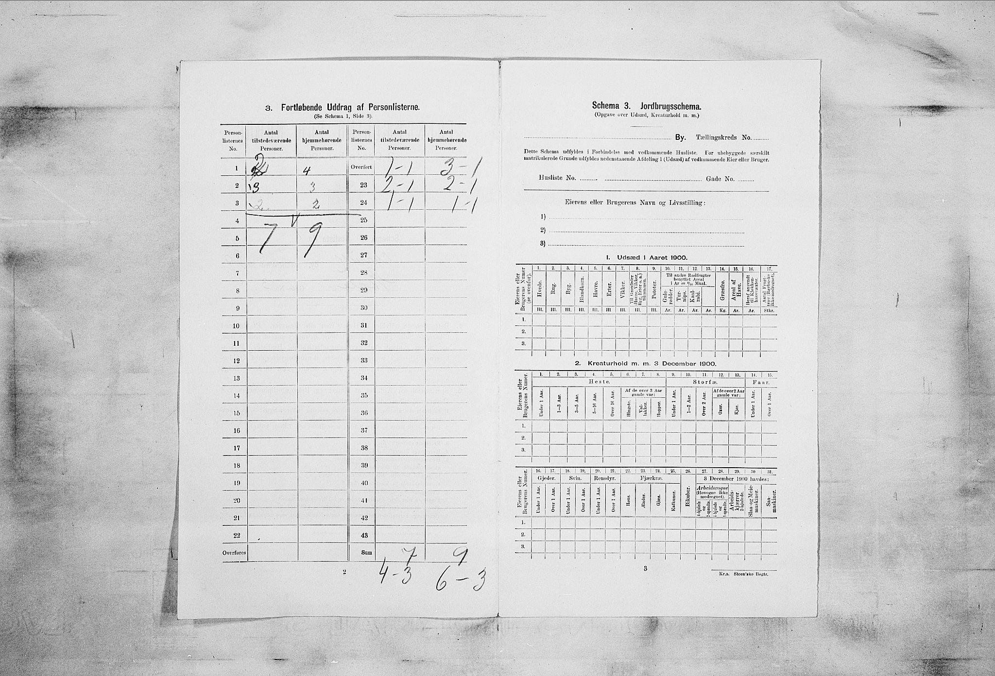 RA, 1900 census for Larvik, 1900, p. 5193