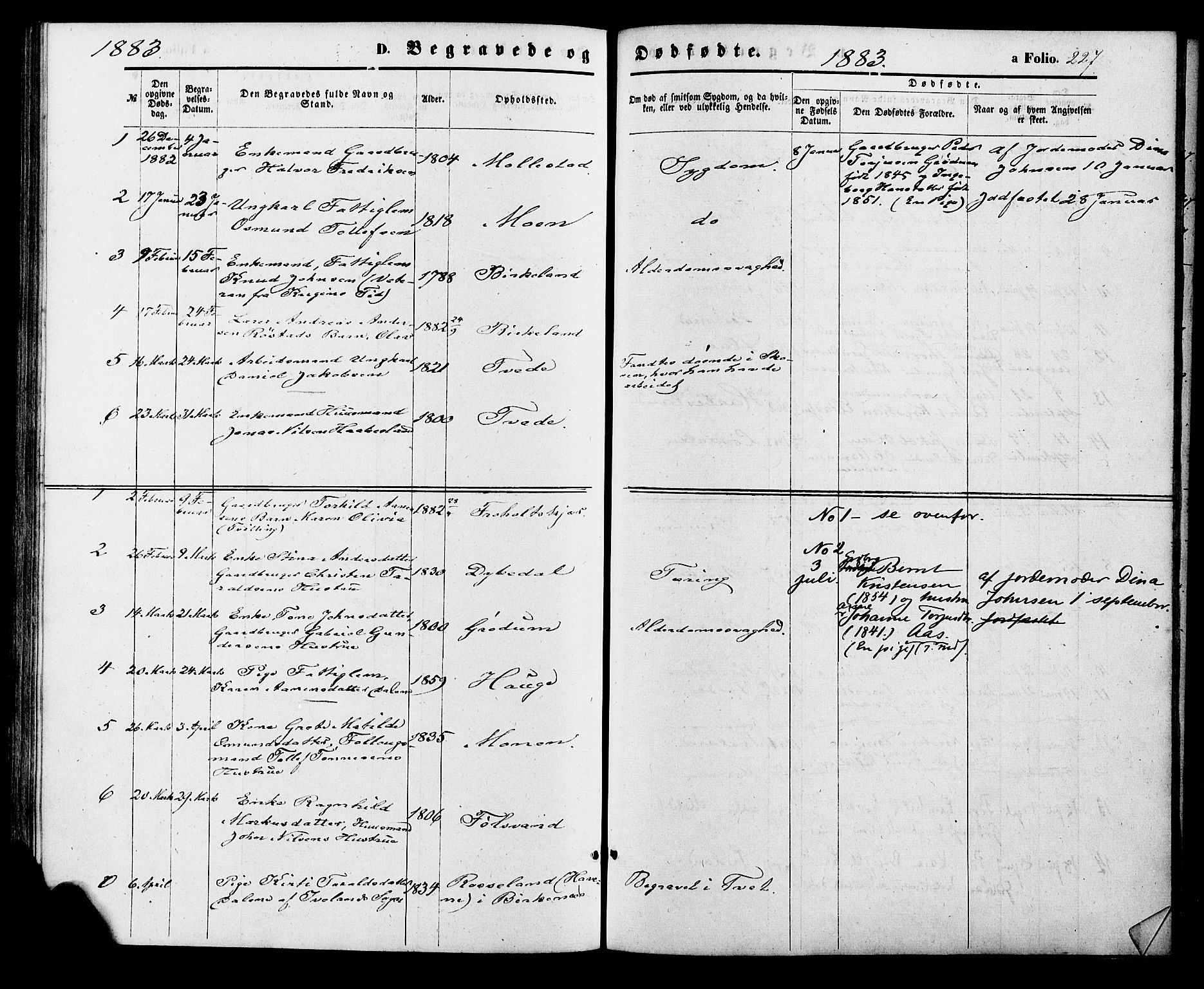 Birkenes sokneprestkontor, AV/SAK-1111-0004/F/Fa/L0004: Parish register (official) no. A 4, 1867-1886, p. 227