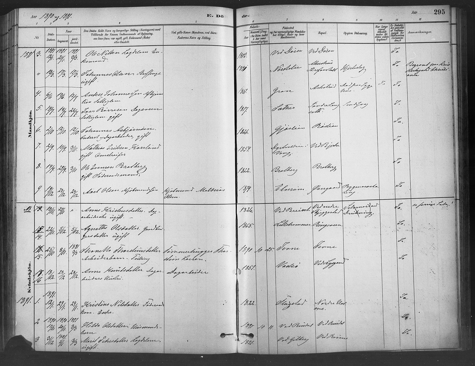 Fåberg prestekontor, SAH/PREST-086/H/Ha/Haa/L0009: Parish register (official) no. 9, 1879-1898, p. 295