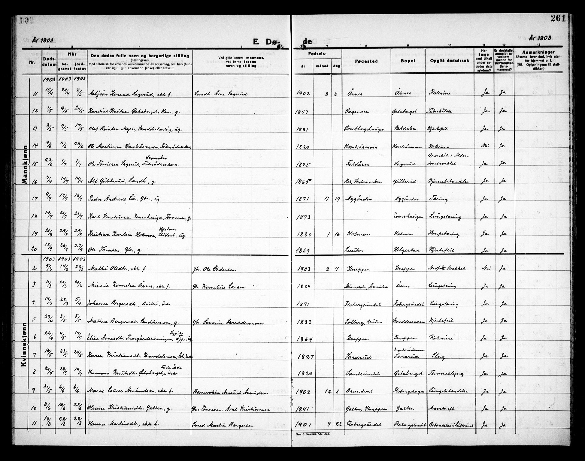 Åsnes prestekontor, SAH/PREST-042/H/Ha/Haa/L0000C: Parish register (official) no. 0A, 1890-1929, p. 261
