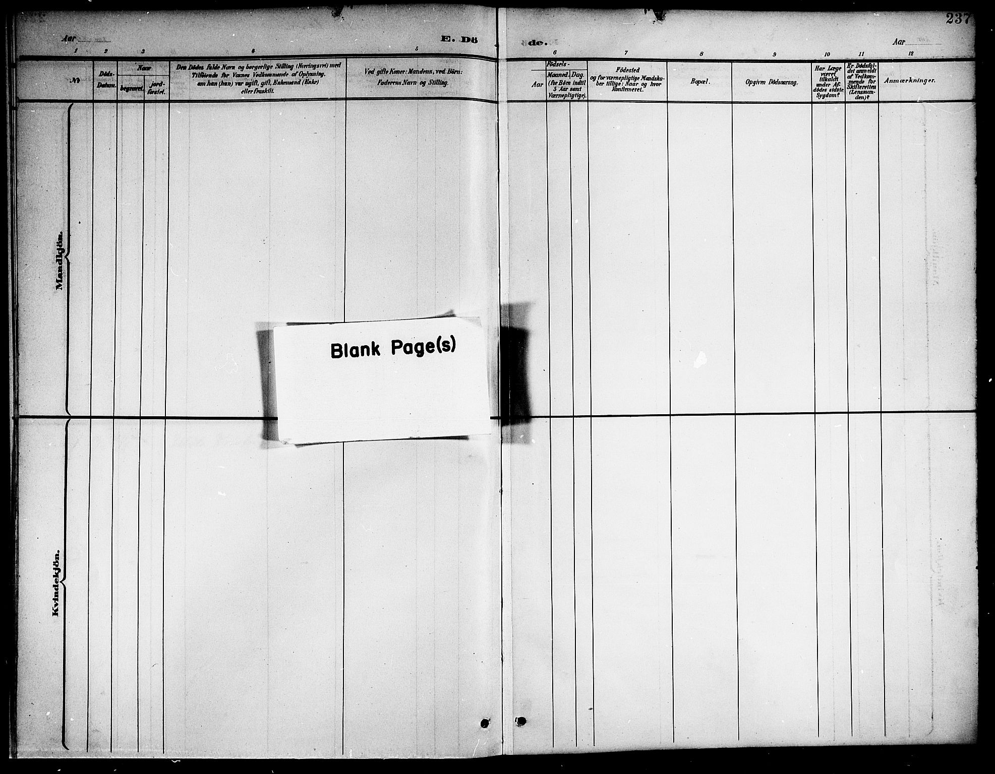 Ministerialprotokoller, klokkerbøker og fødselsregistre - Nordland, AV/SAT-A-1459/859/L0860: Parish register (copy) no. 859C06, 1899-1909, p. 237