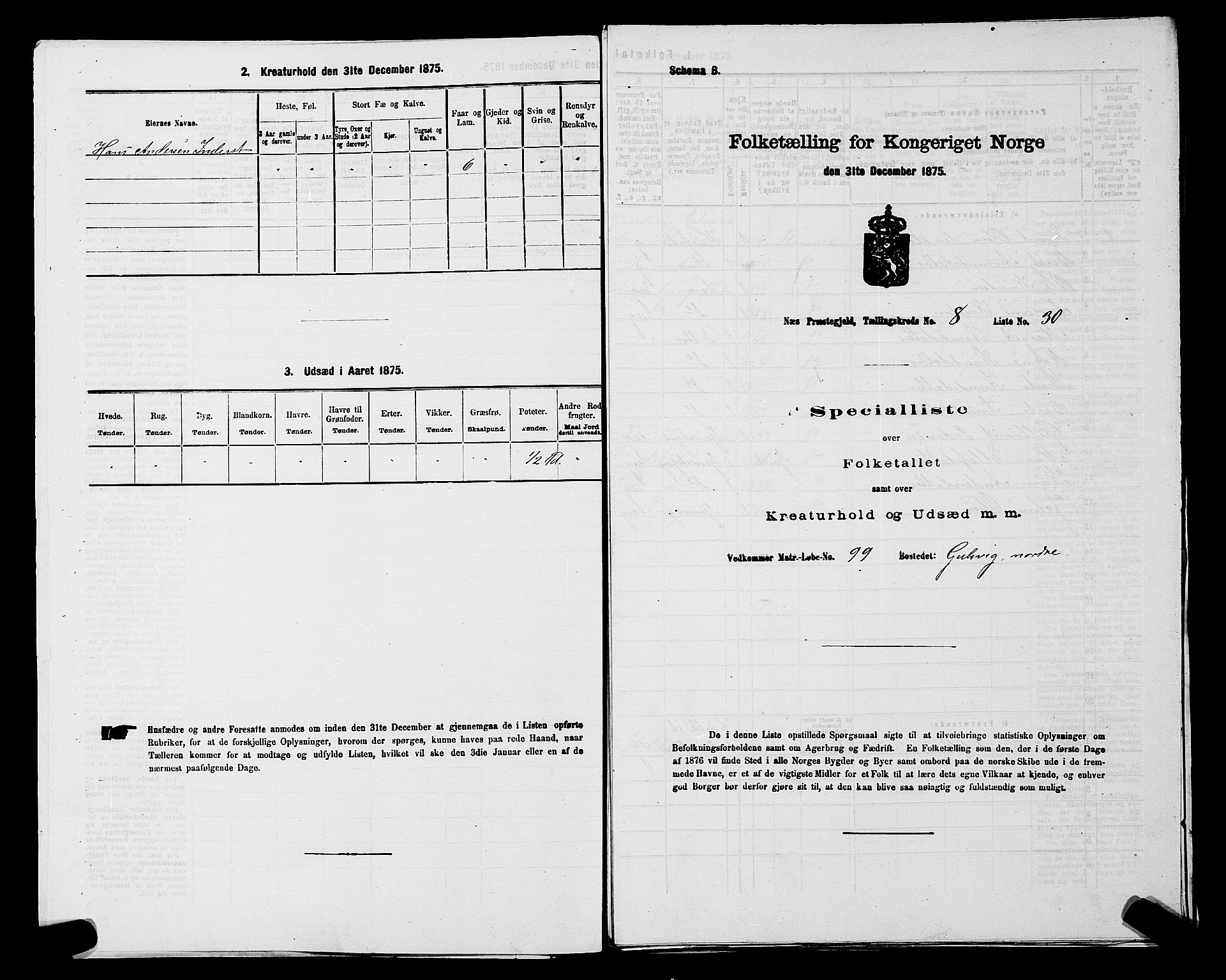 SAKO, 1875 census for 0616P Nes, 1875, p. 1323