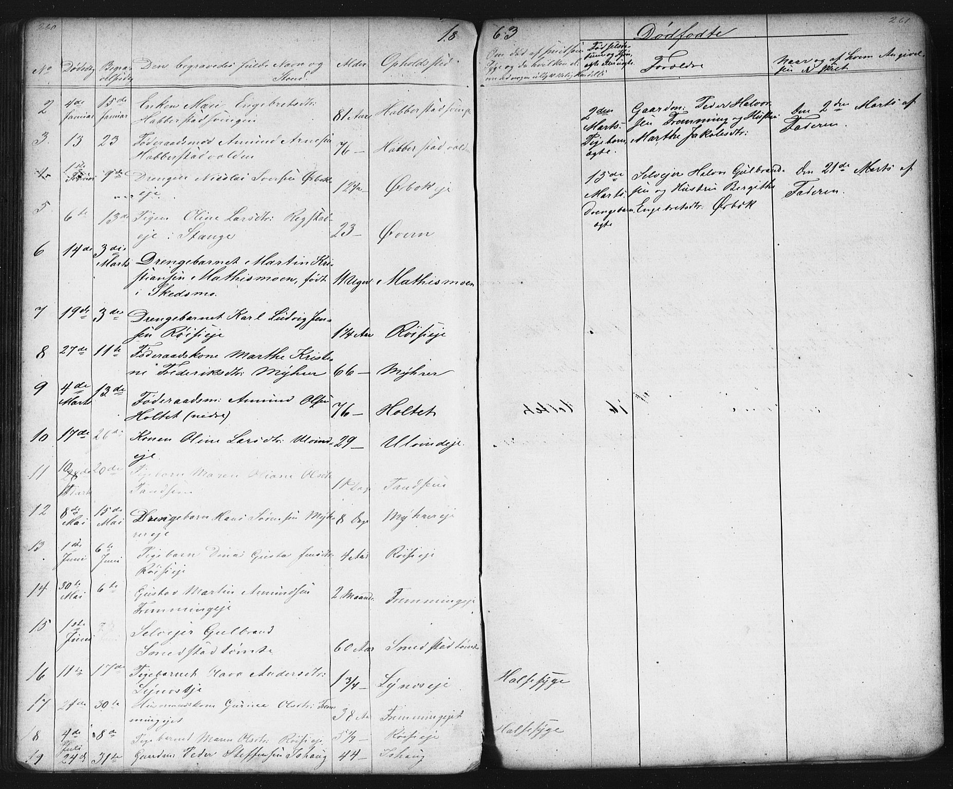 Eidsvoll prestekontor Kirkebøker, AV/SAO-A-10888/G/Gb/L0001: Parish register (copy) no. II 1, 1861-1877, p. 260-261