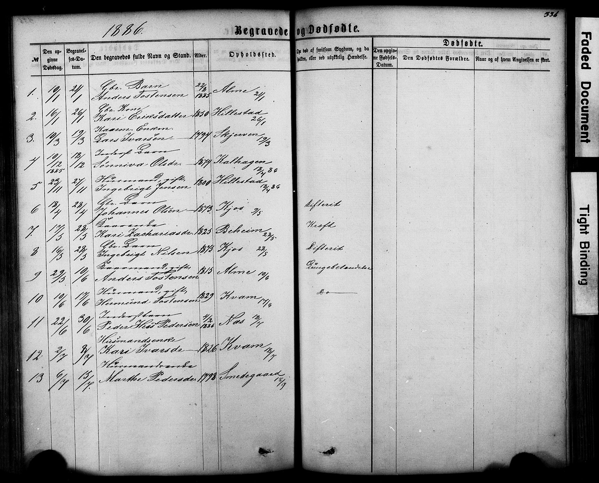 Hafslo sokneprestembete, SAB/A-80301/H/Hab/Haba/L0001: Parish register (copy) no. A 1, 1866-1908, p. 336