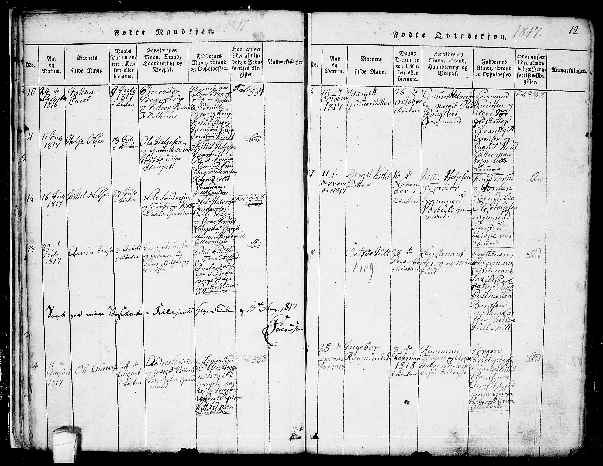 Seljord kirkebøker, SAKO/A-20/G/Ga/L0001: Parish register (copy) no. I 1, 1815-1854, p. 12