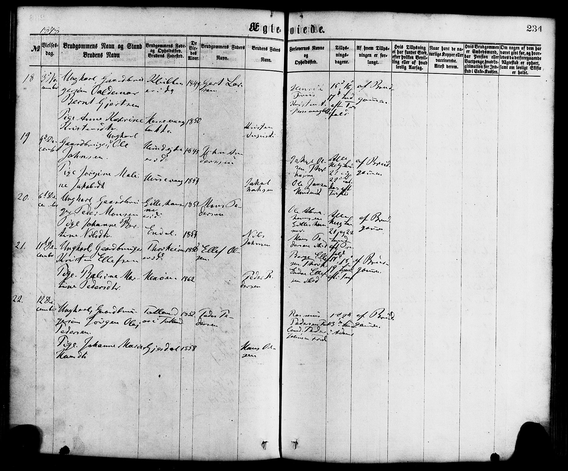 Davik sokneprestembete, SAB/A-79701/H/Haa/Haaa/L0006: Parish register (official) no. A 6, 1867-1881, p. 234