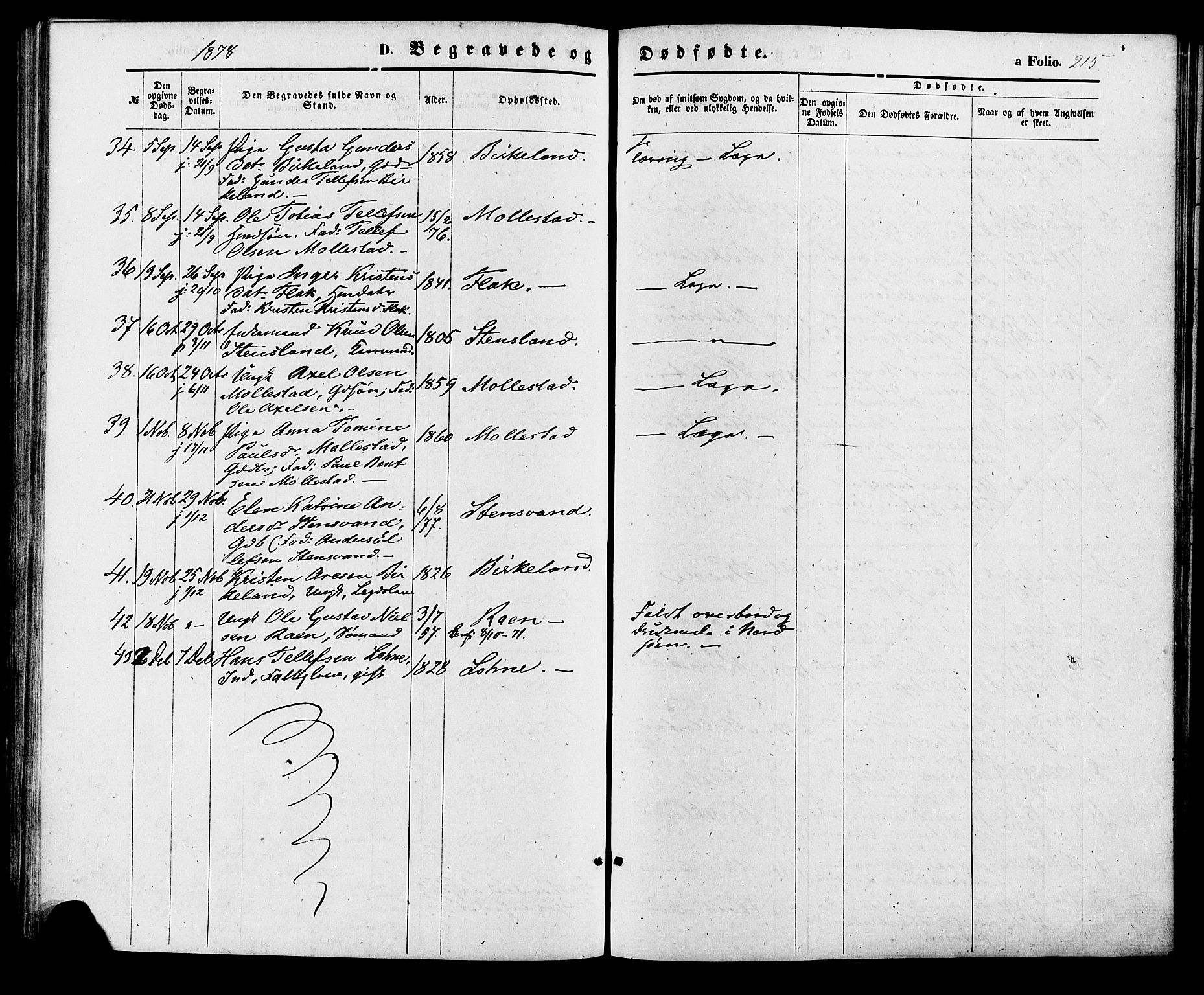 Birkenes sokneprestkontor, AV/SAK-1111-0004/F/Fa/L0004: Parish register (official) no. A 4, 1867-1886, p. 215