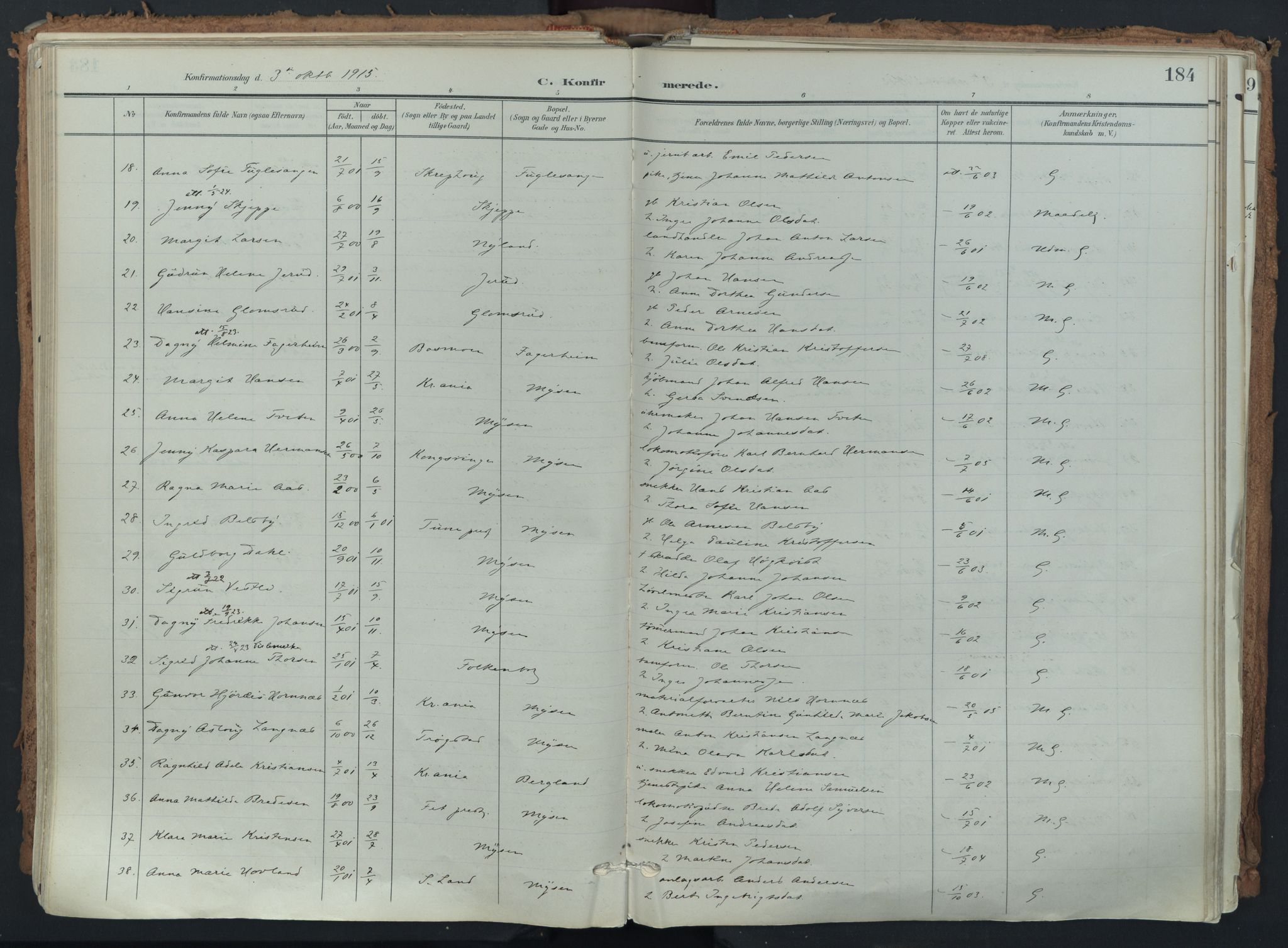 Eidsberg prestekontor Kirkebøker, AV/SAO-A-10905/F/Fa/L0014: Parish register (official) no. I 14, 1902-1919, p. 184