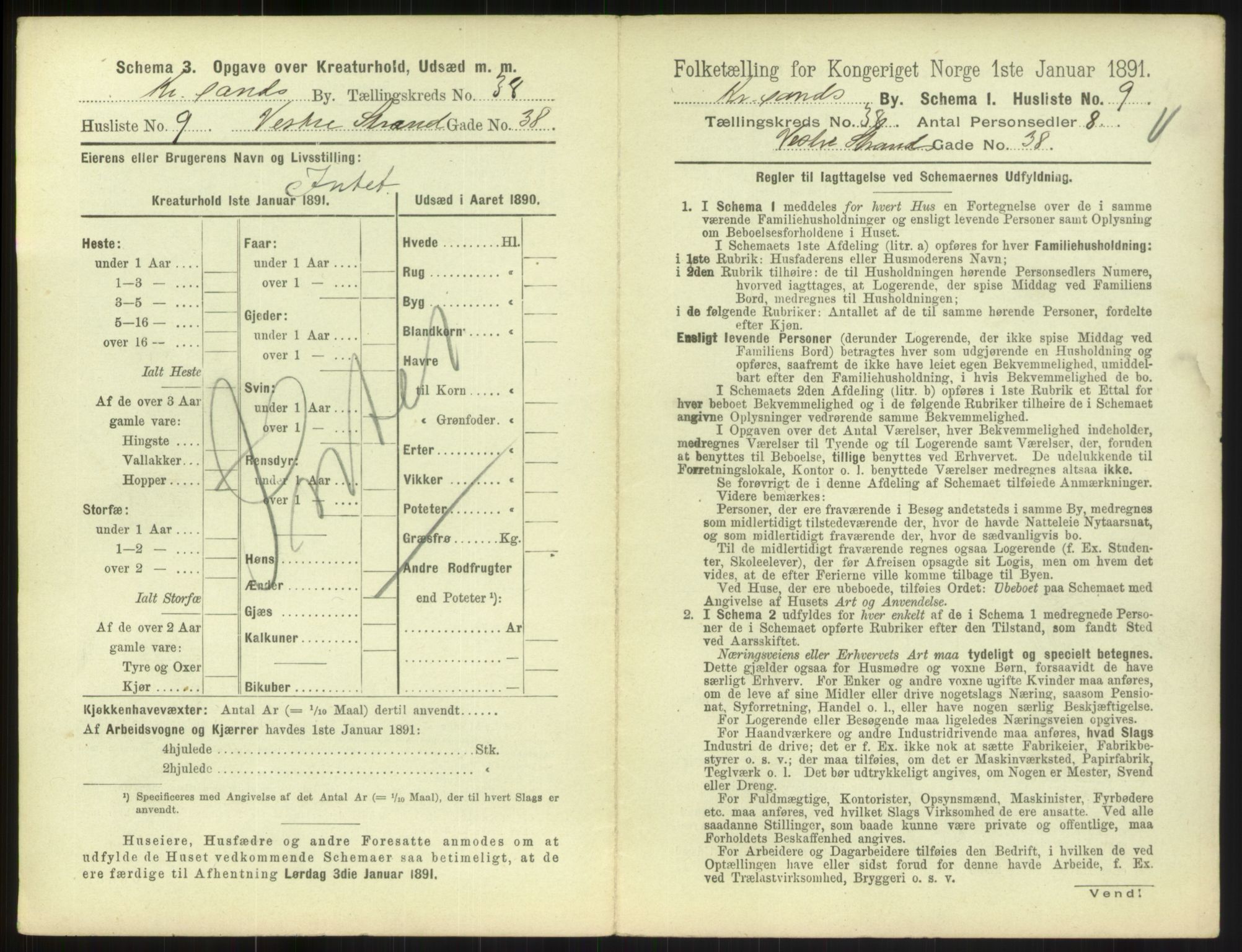 RA, 1891 census for 1001 Kristiansand, 1891, p. 2116