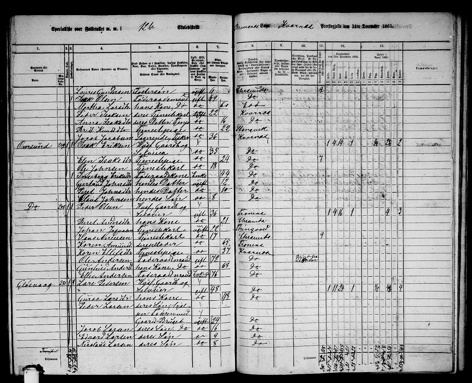 RA, 1865 census for Kvernes, 1865, p. 223