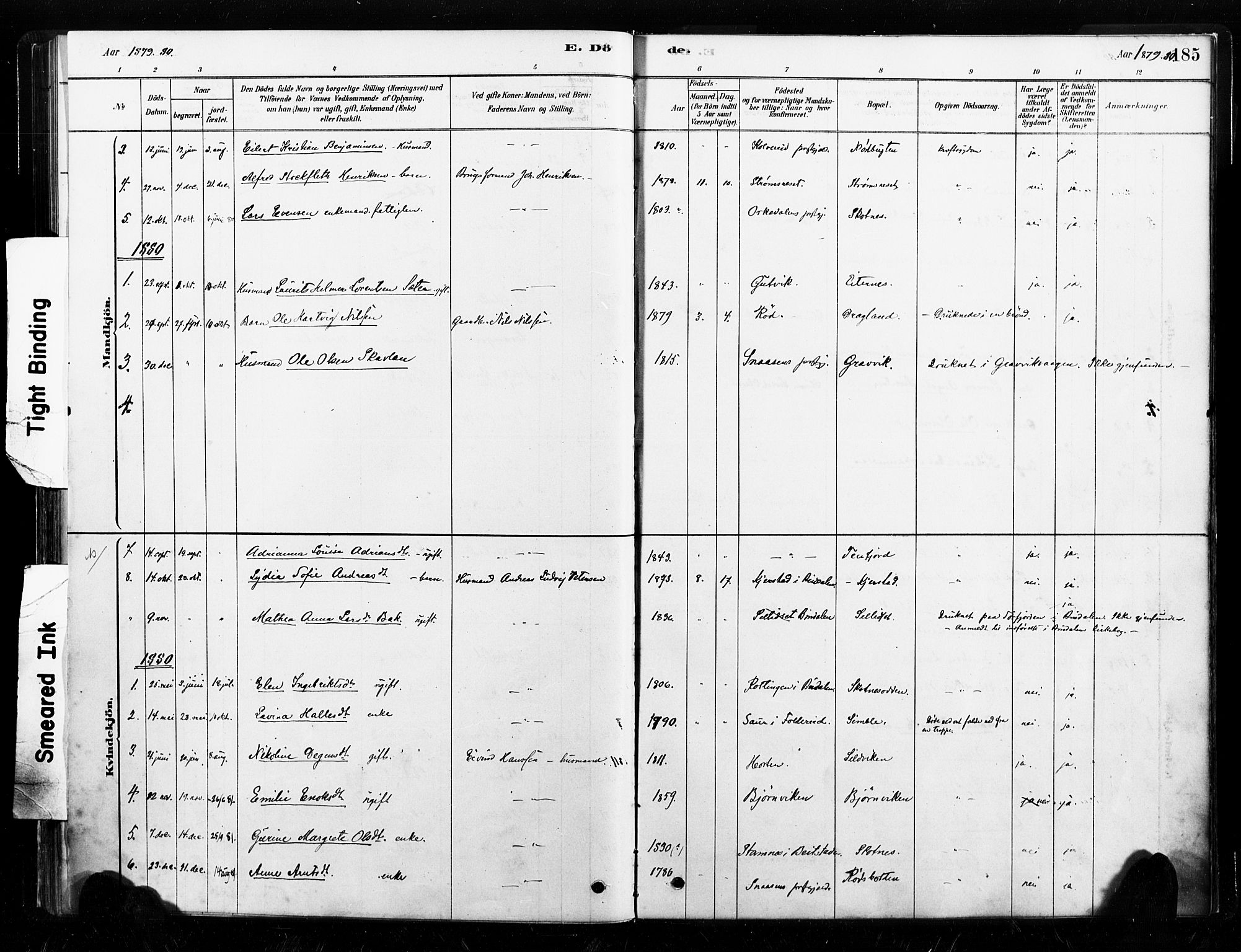 Ministerialprotokoller, klokkerbøker og fødselsregistre - Nord-Trøndelag, SAT/A-1458/789/L0705: Parish register (official) no. 789A01, 1878-1910, p. 185