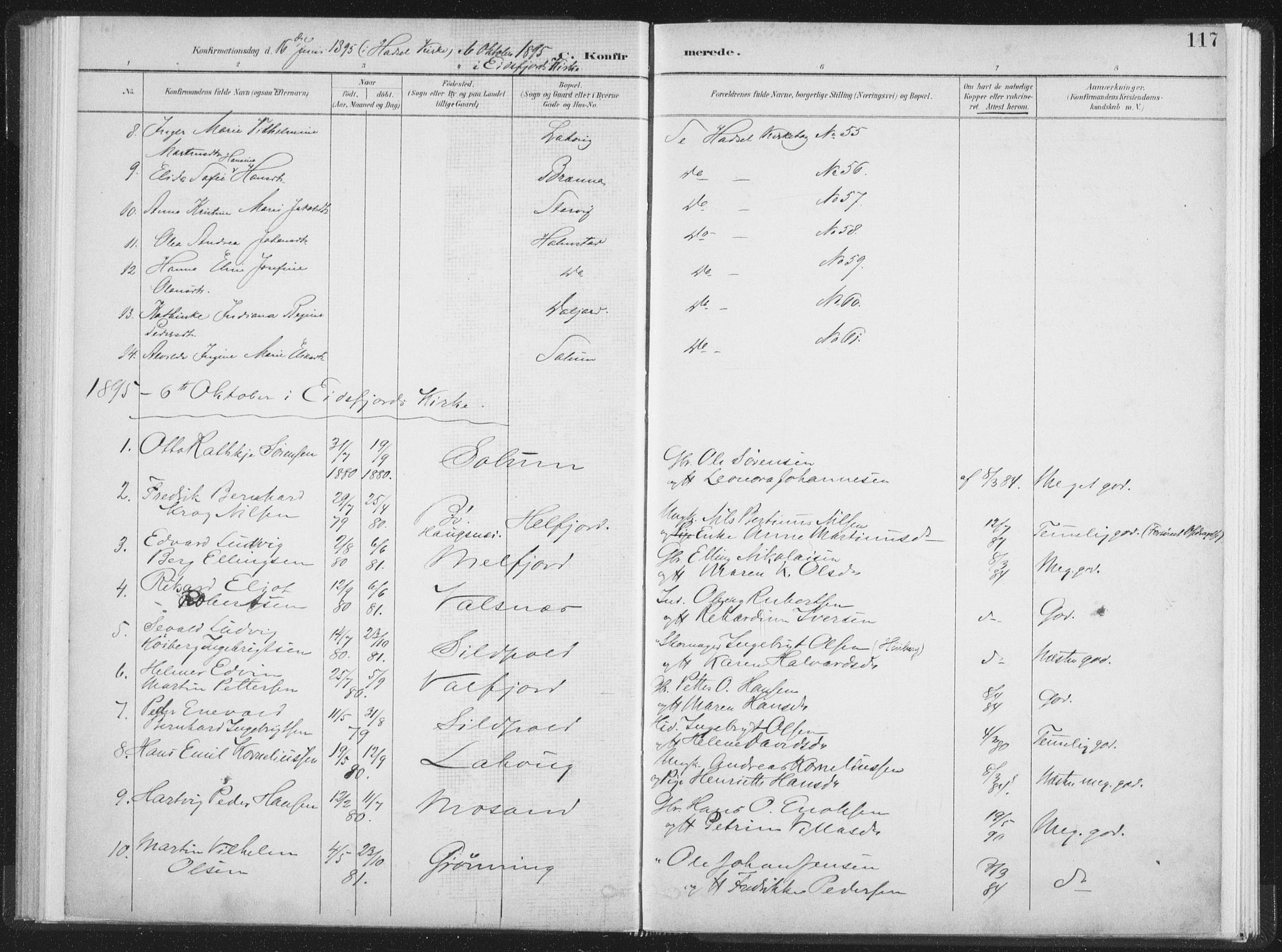 Ministerialprotokoller, klokkerbøker og fødselsregistre - Nordland, SAT/A-1459/890/L1286: Parish register (official) no. 890A01, 1882-1902, p. 117