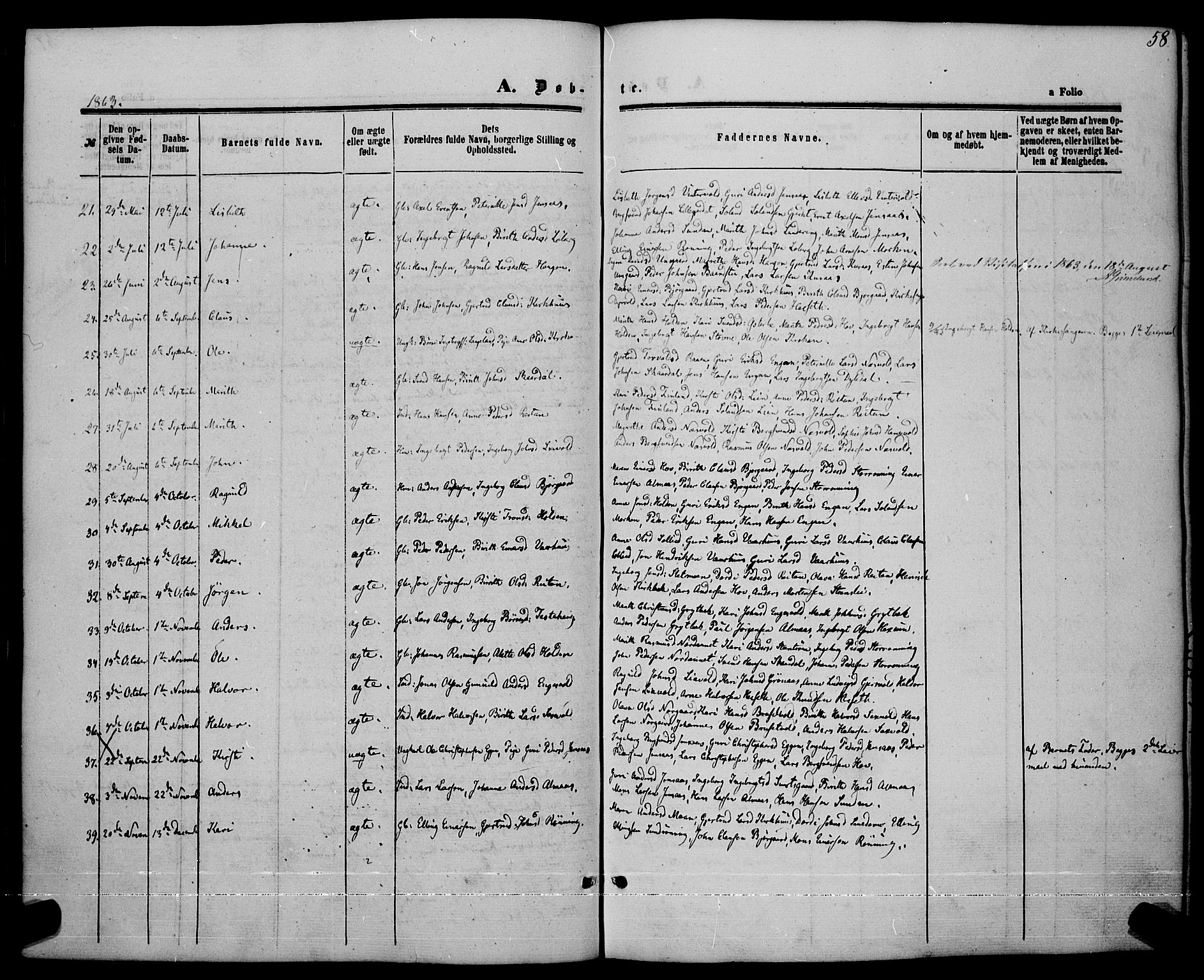 Ministerialprotokoller, klokkerbøker og fødselsregistre - Sør-Trøndelag, SAT/A-1456/685/L0968: Parish register (official) no. 685A07 /3, 1860-1869, p. 58