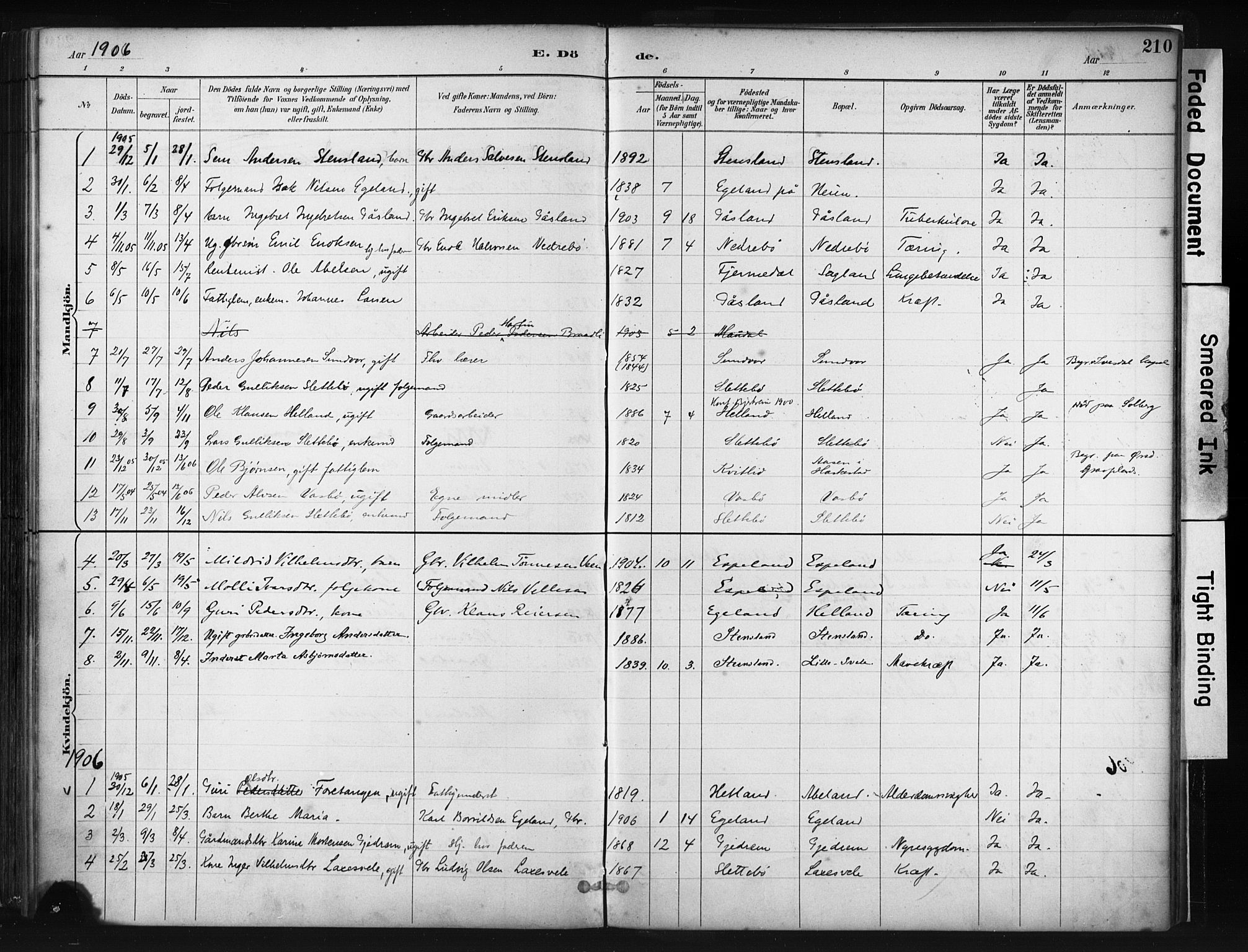 Helleland sokneprestkontor, AV/SAST-A-101810: Parish register (official) no. A 9, 1887-1908, p. 210