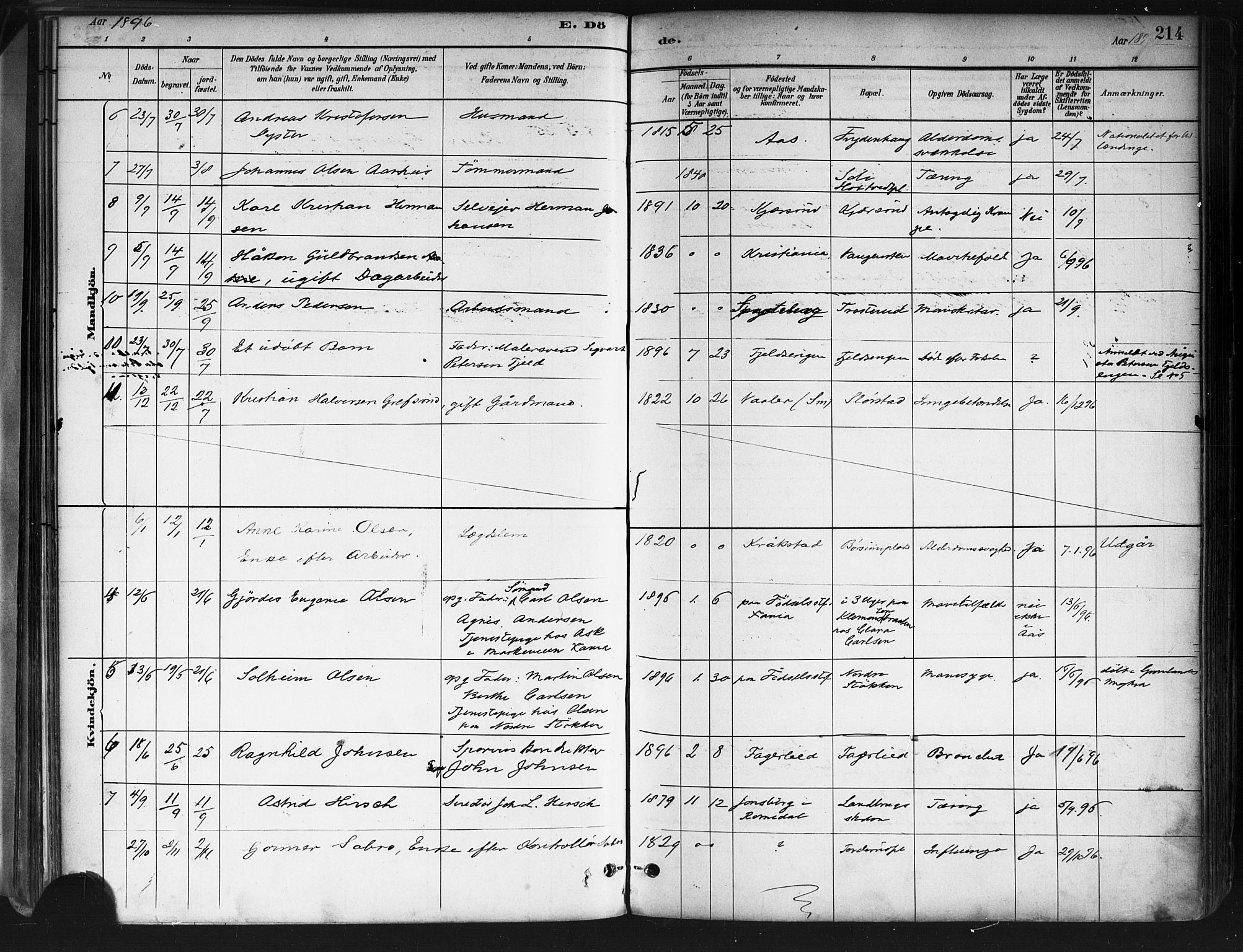 Ås prestekontor Kirkebøker, AV/SAO-A-10894/F/Fa/L0009: Parish register (official) no. I 9, 1881-1900, p. 214