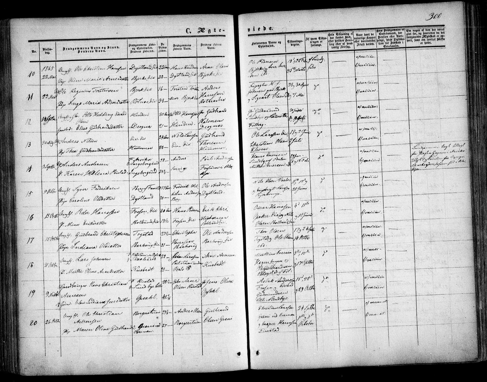 Nes prestekontor Kirkebøker, AV/SAO-A-10410/F/Fa/L0008: Parish register (official) no. I 8, 1859-1874, p. 300