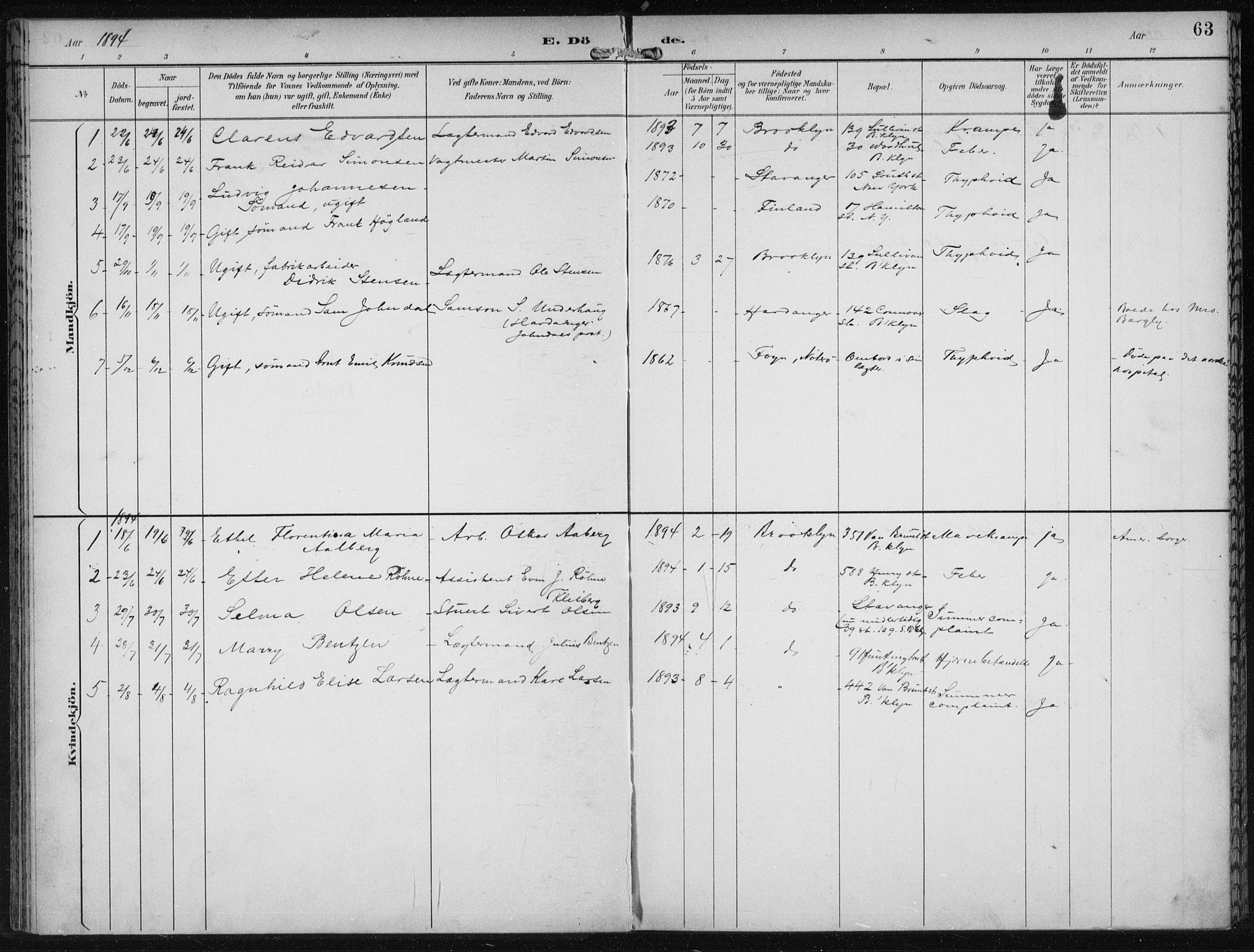 Den norske sjømannsmisjon i utlandet/New York, SAB/SAB/PA-0110/H/Ha/L0004: Parish register (official) no. A 4, 1893-1901, p. 63