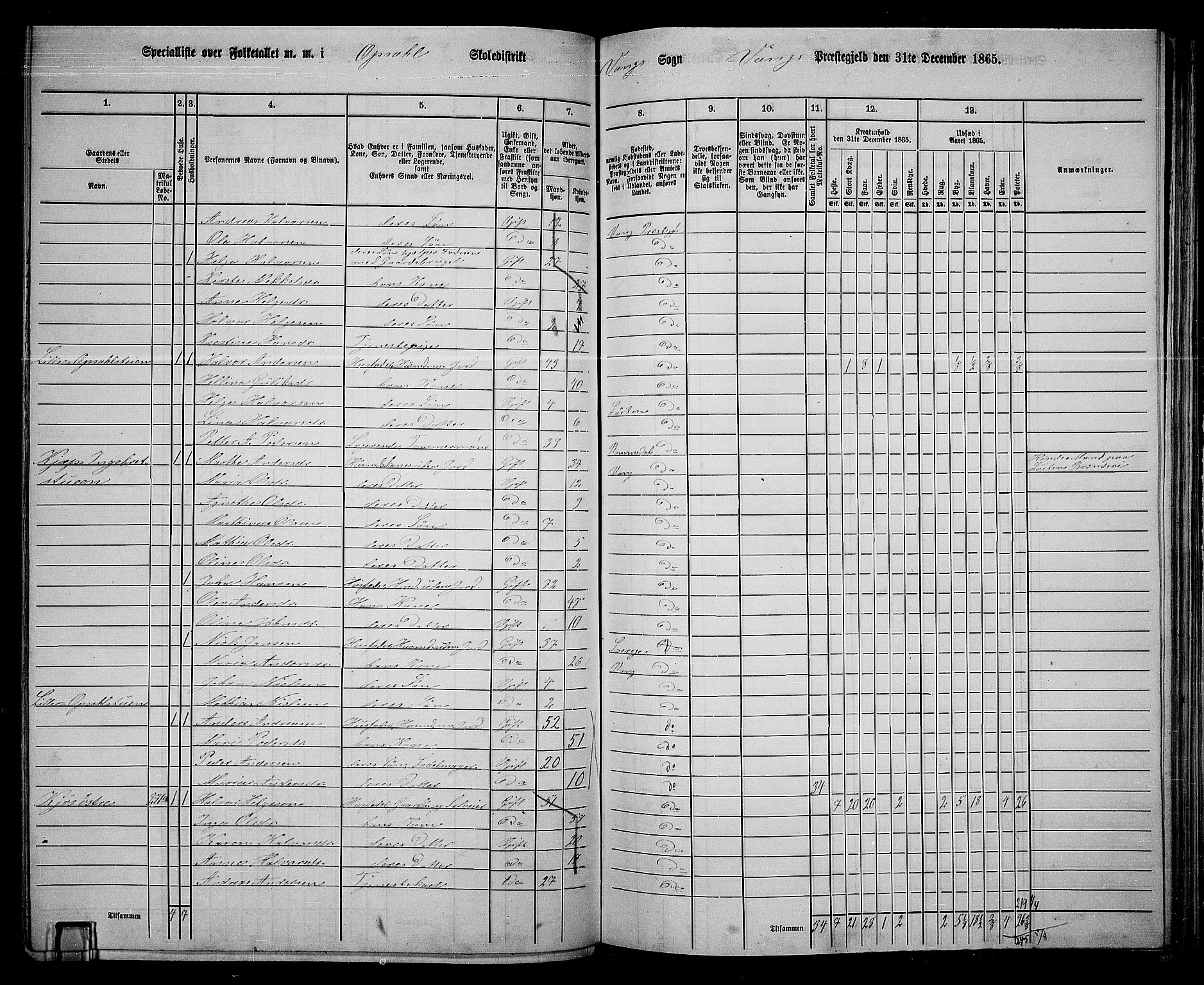 RA, 1865 census for Vang/Vang og Furnes, 1865, p. 265